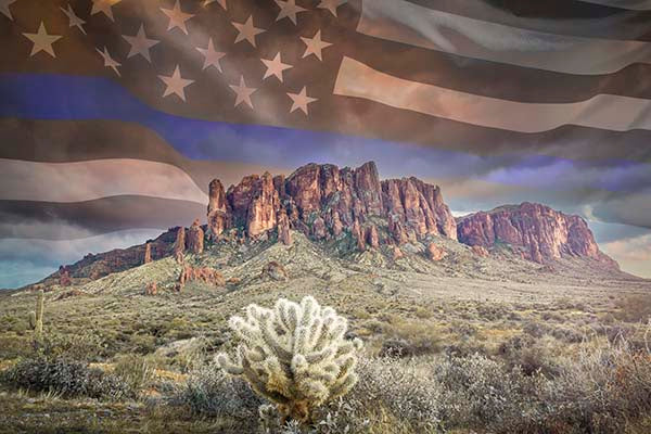 MSS (38) Blue Line Flag