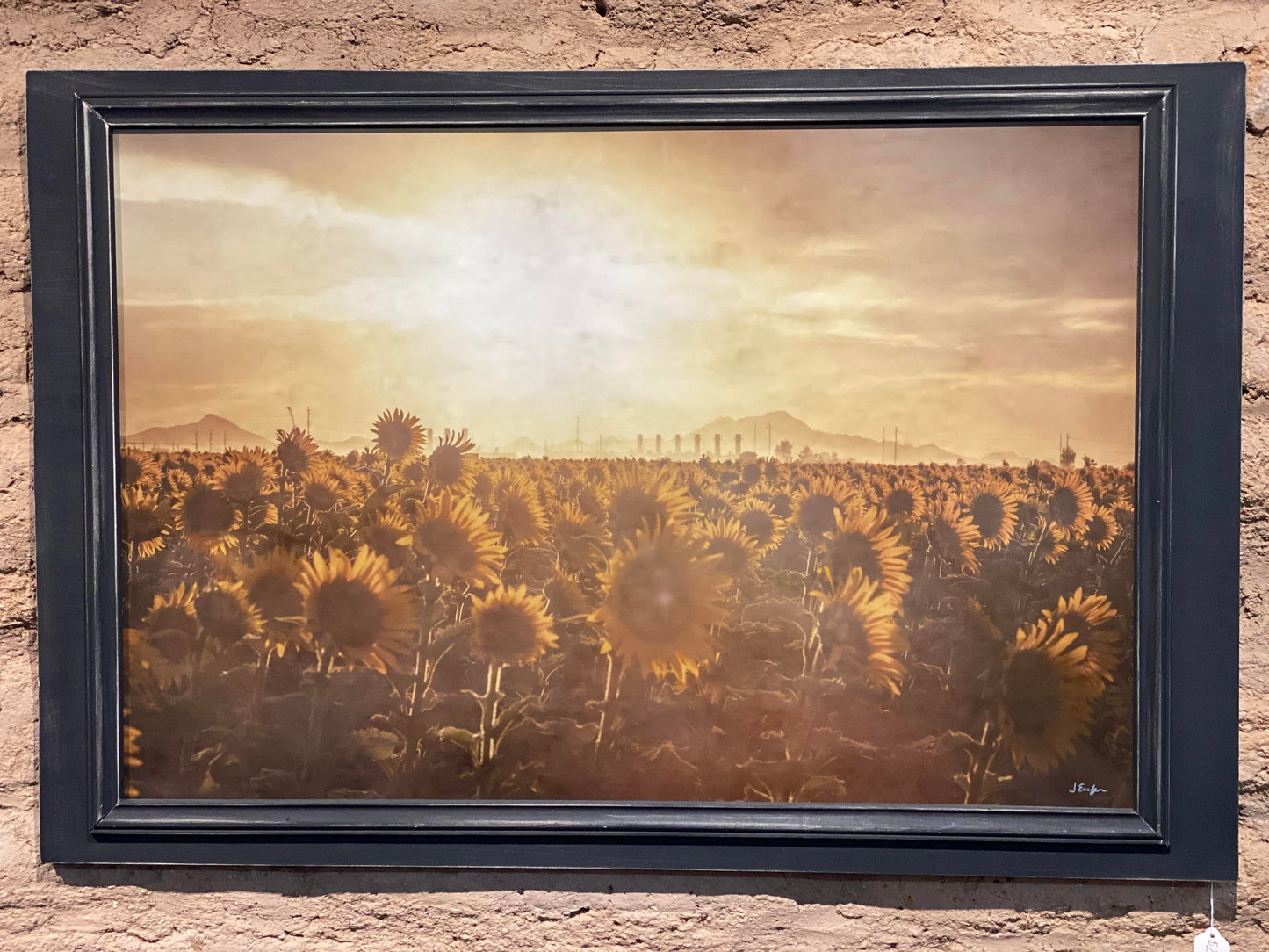 25x35 Double-Framed Art