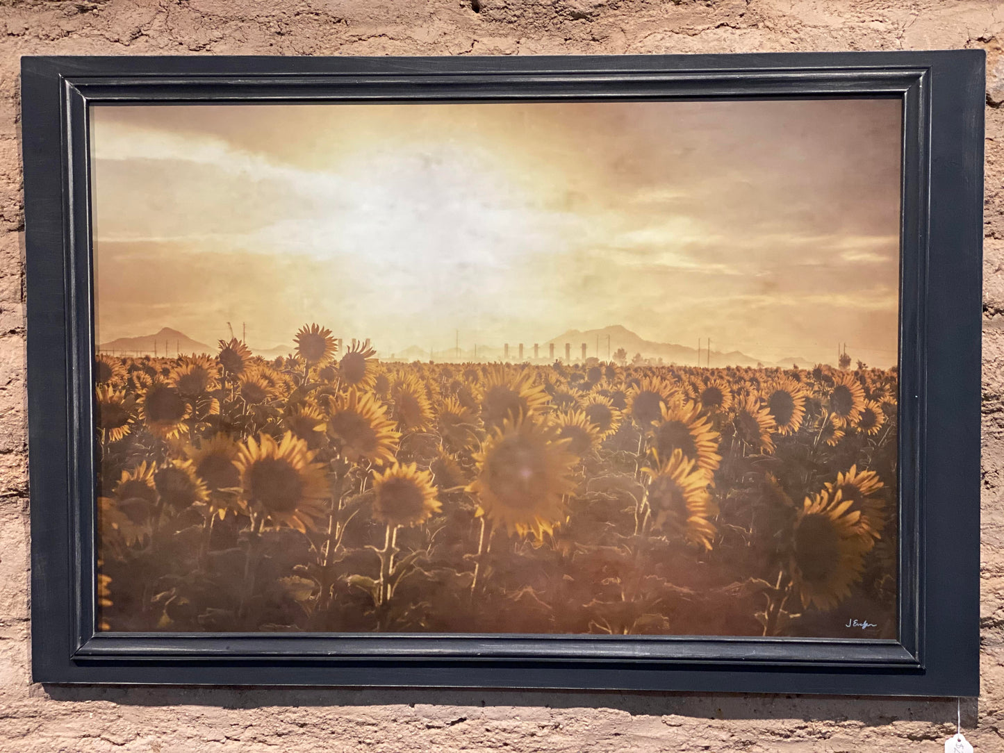 29 x 41 Double-Framed Art