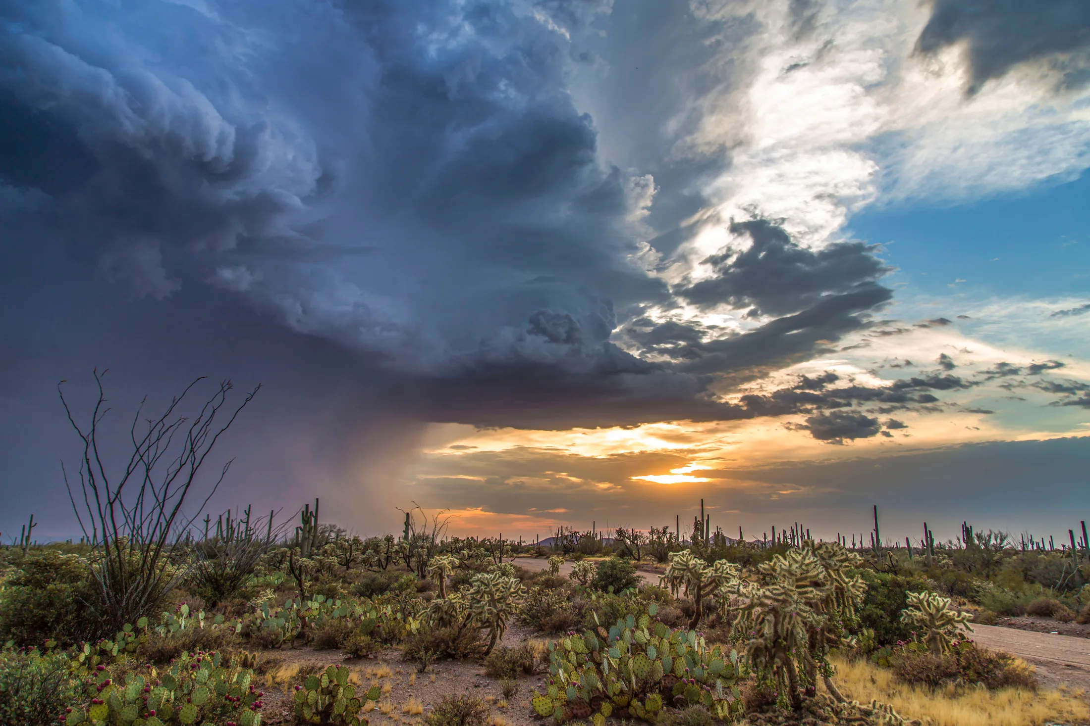 MST (2) Arizona Desert Monsoon Florence AZ Arizona Desert Monsoon Florence AZ, lightning, a fine art photograph by Michael Joseph Baca