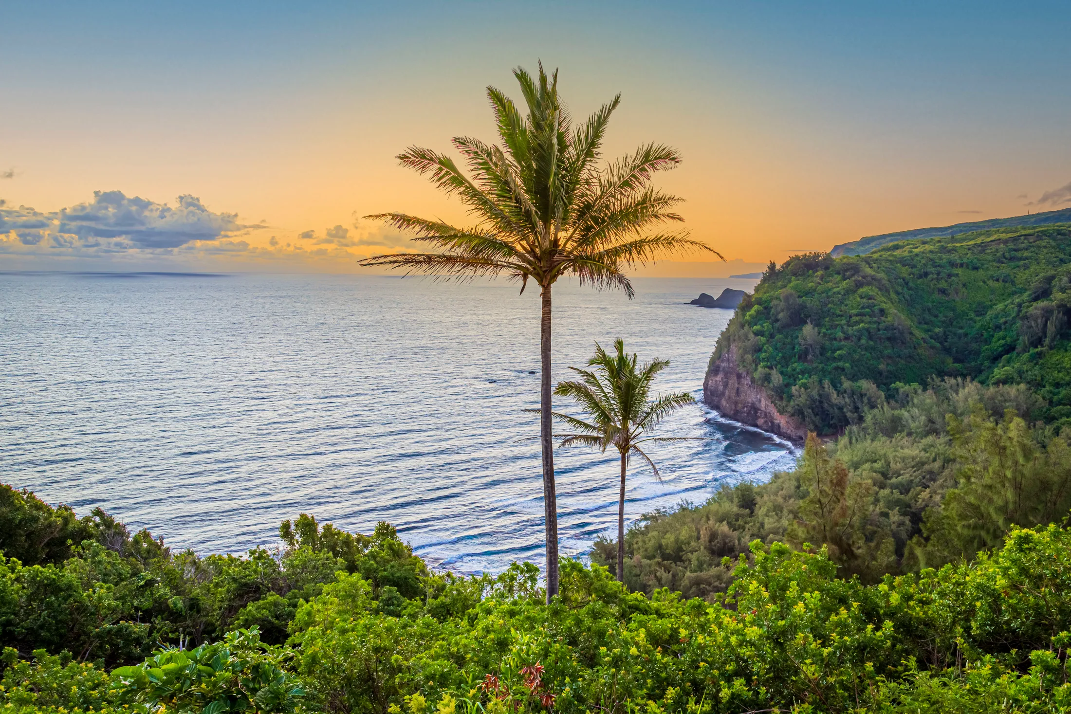 MBH (19) Big Island Hawaii Palm trees above a bay at sunset on the Big Island of Hawaii, sea cliffs falling to the surf, a fine art photograph by