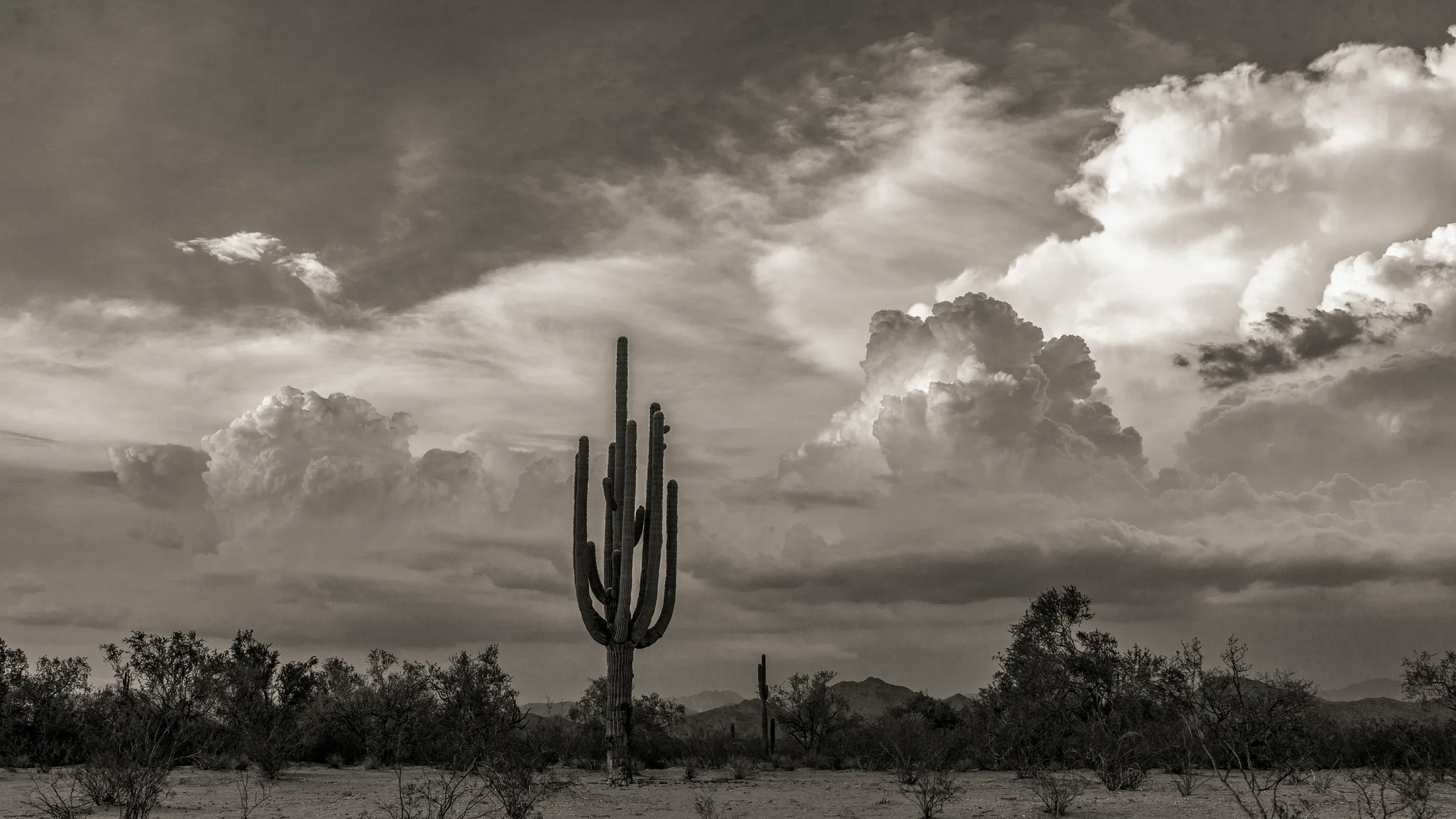 MLS (8) Black & White Florence AZ Black & White Florence AZ, landscape, a fine art photograph by Michael Joseph Baca, Casa de Baca Studios, Florence, Arizona