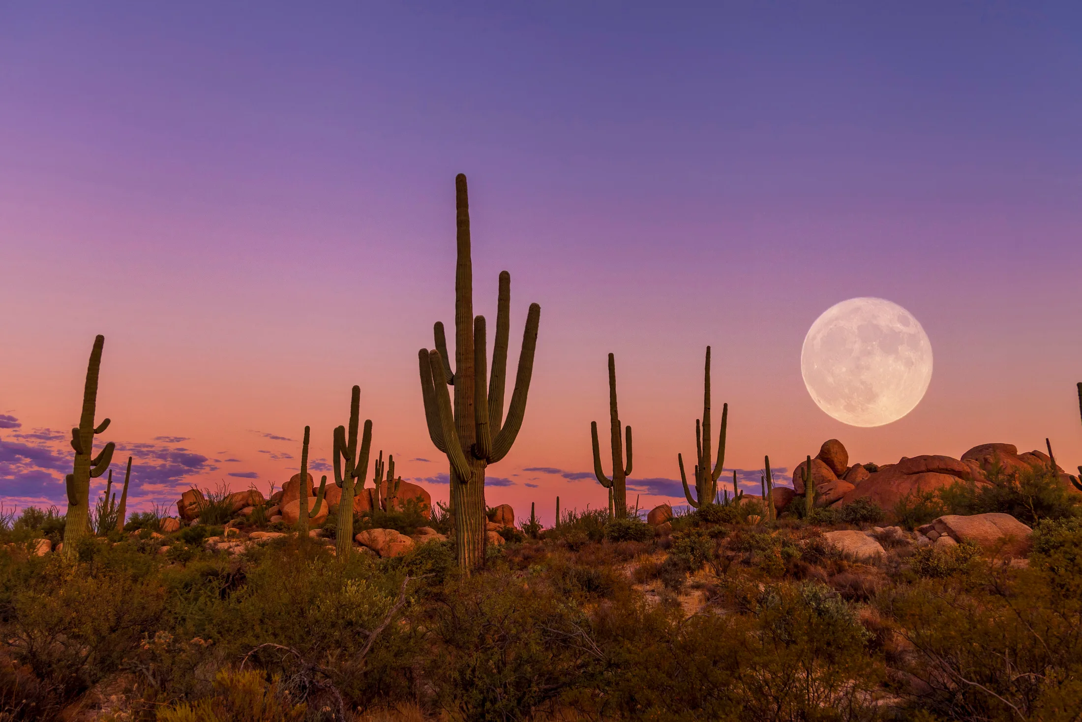 MMN (10) Boulder's Moon Florence AZ Boulder's Moon Florence AZ, a fine art photograph by Michael Joseph Baca, Casa de Baca Studios, Florence, Arizona