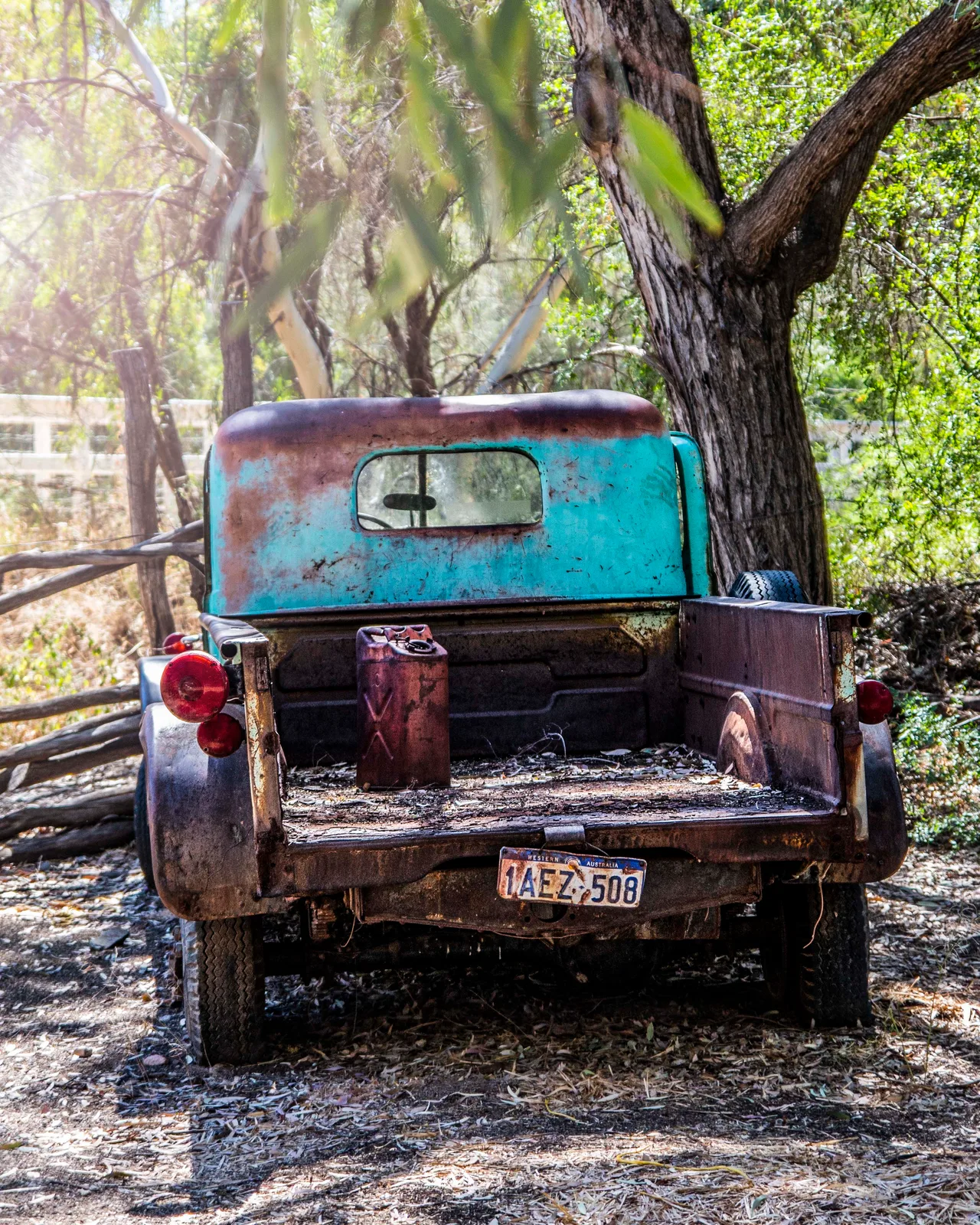 CJT22 Boyce Thompson Arboretum Superior AZ Boyce Thompson Arboretum Superior AZ, vehicles, a fine art photograph by Janell Evelyn Baca