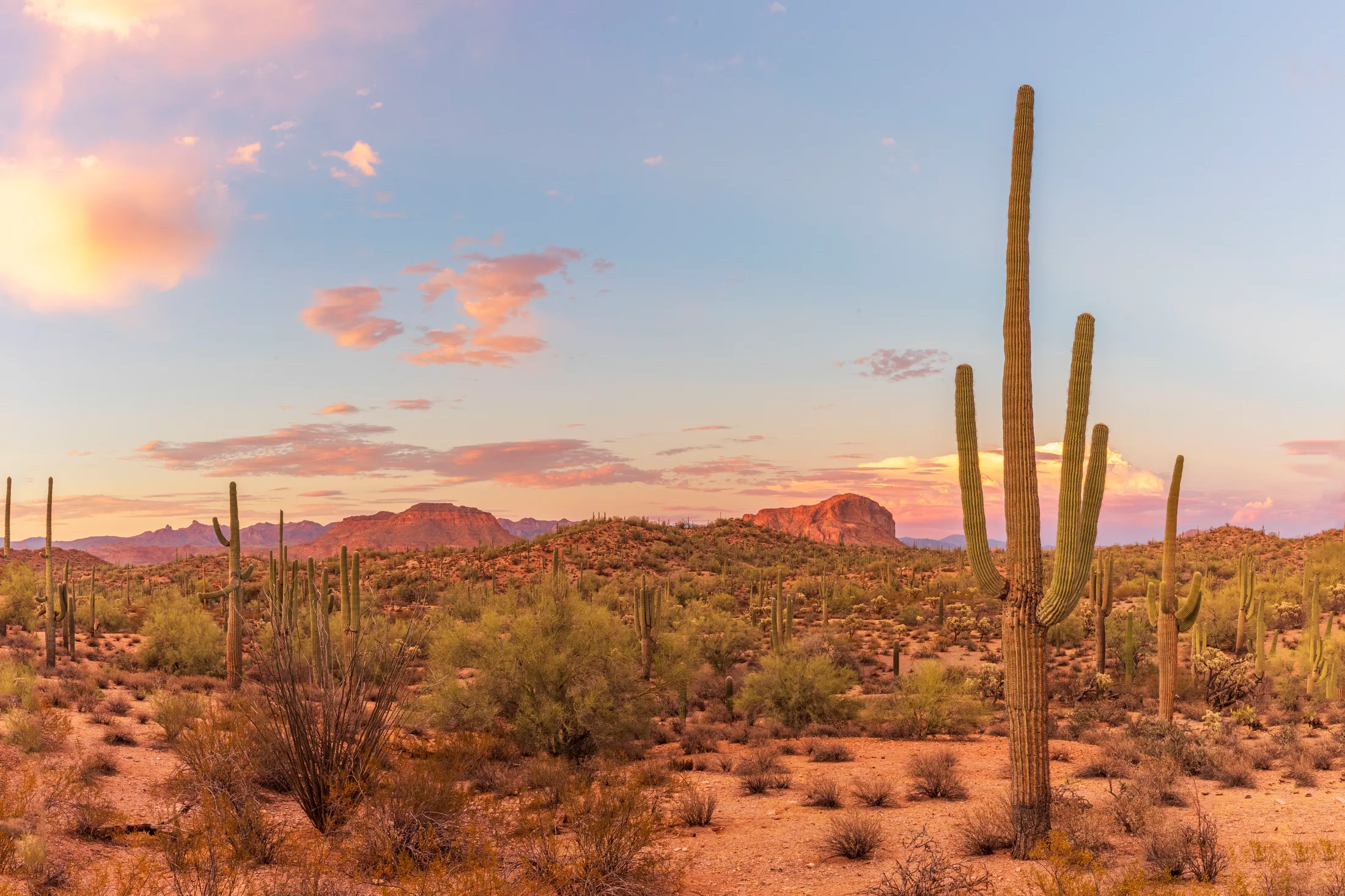 MSS (93) Buttes Florence AZ Buttes Florence AZ, sunset and sunrise, a fine art photograph by Michael Joseph Baca, Casa de Baca Studios, Florence, Arizona