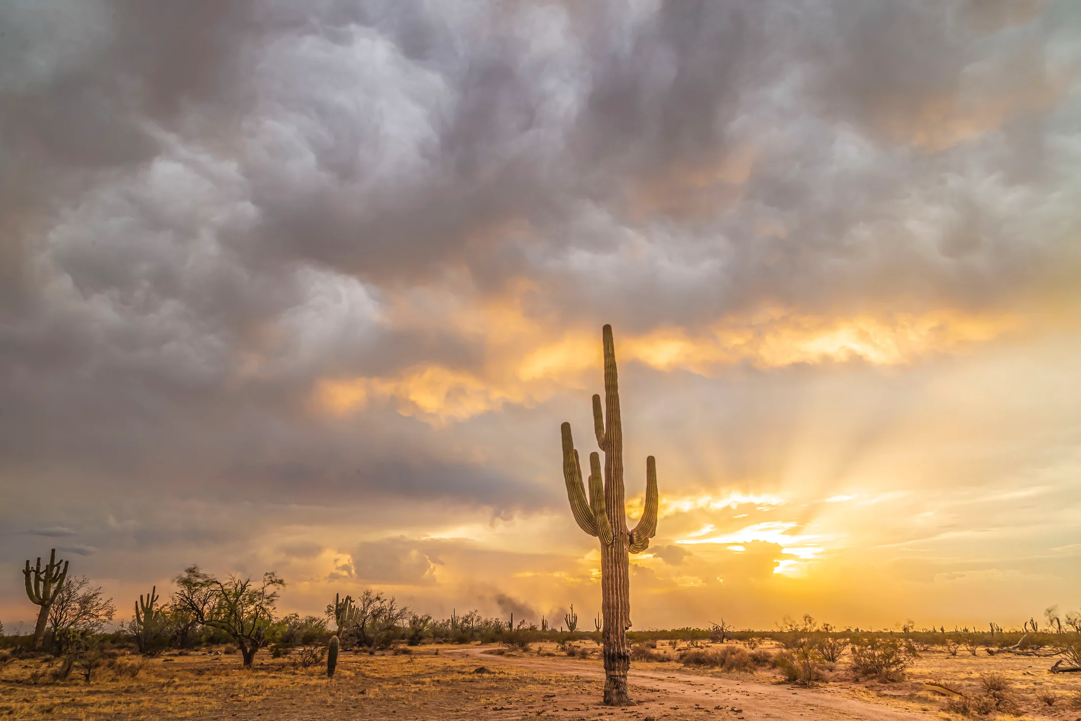 MSS (44) Coolidge AZ Coolidge AZ, sunset and sunrise, a fine art photograph by Michael Joseph Baca, Casa de Baca Studios, Florence, Arizona