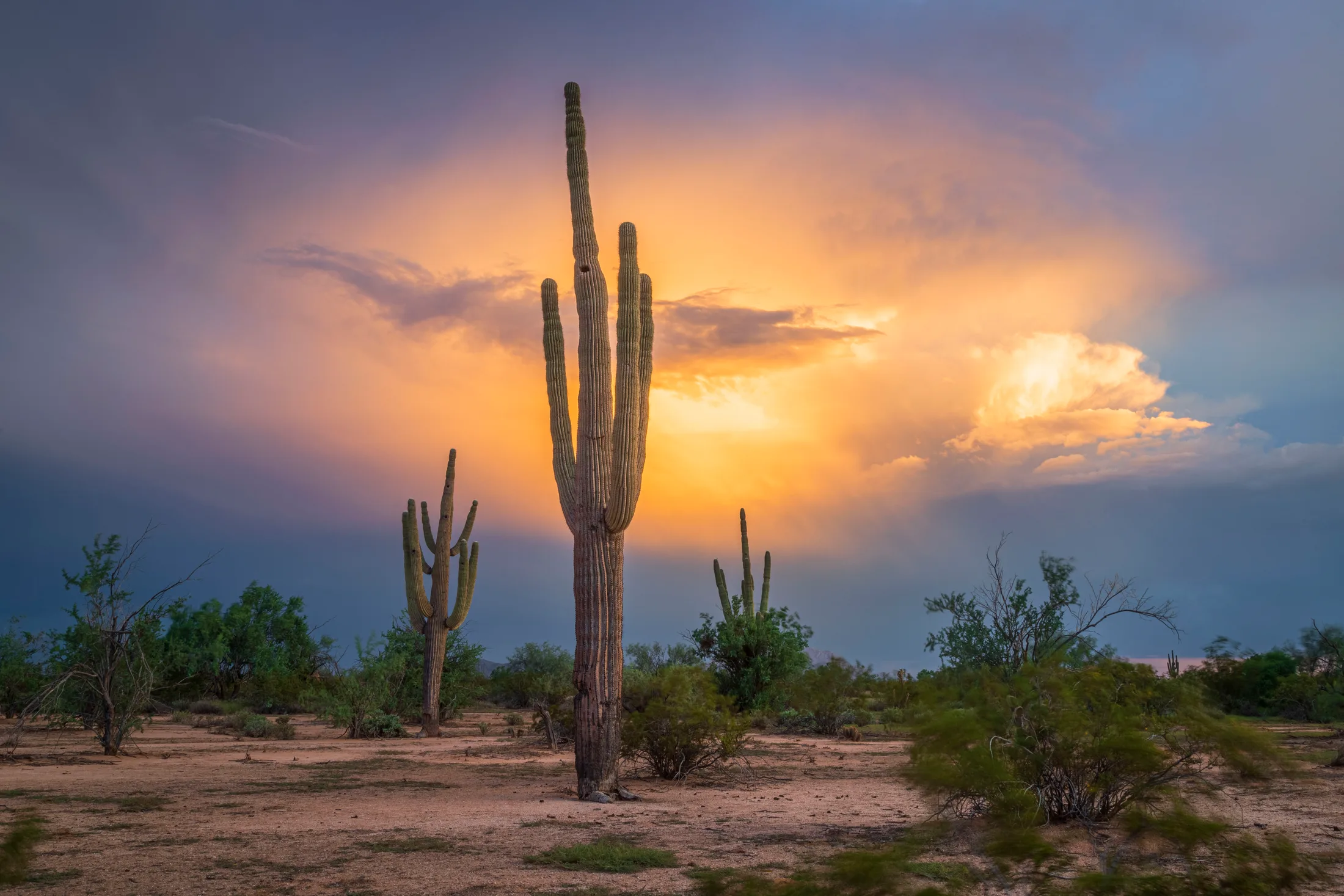 MSS (51) Coolidge AZ Coolidge AZ, sunset and sunrise, a fine art photograph by Michael Joseph Baca, Casa de Baca Studios, Florence, Arizona