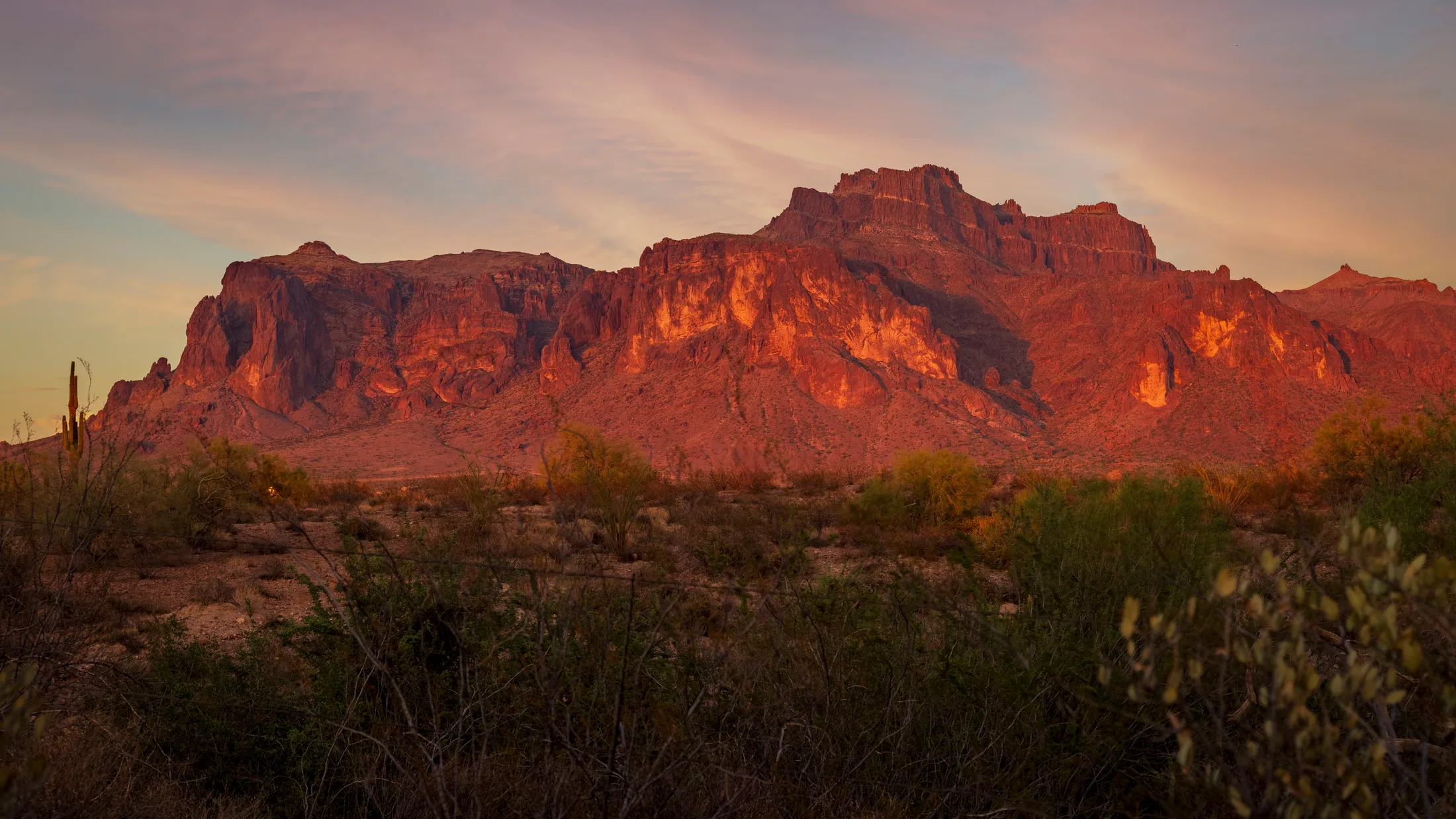 MSS (81) Cougar on Superstition Mountain -2 Cougar on Superstition Mountain -2, sunset and sunrise, a fine art photograph by Michael Joseph Baca