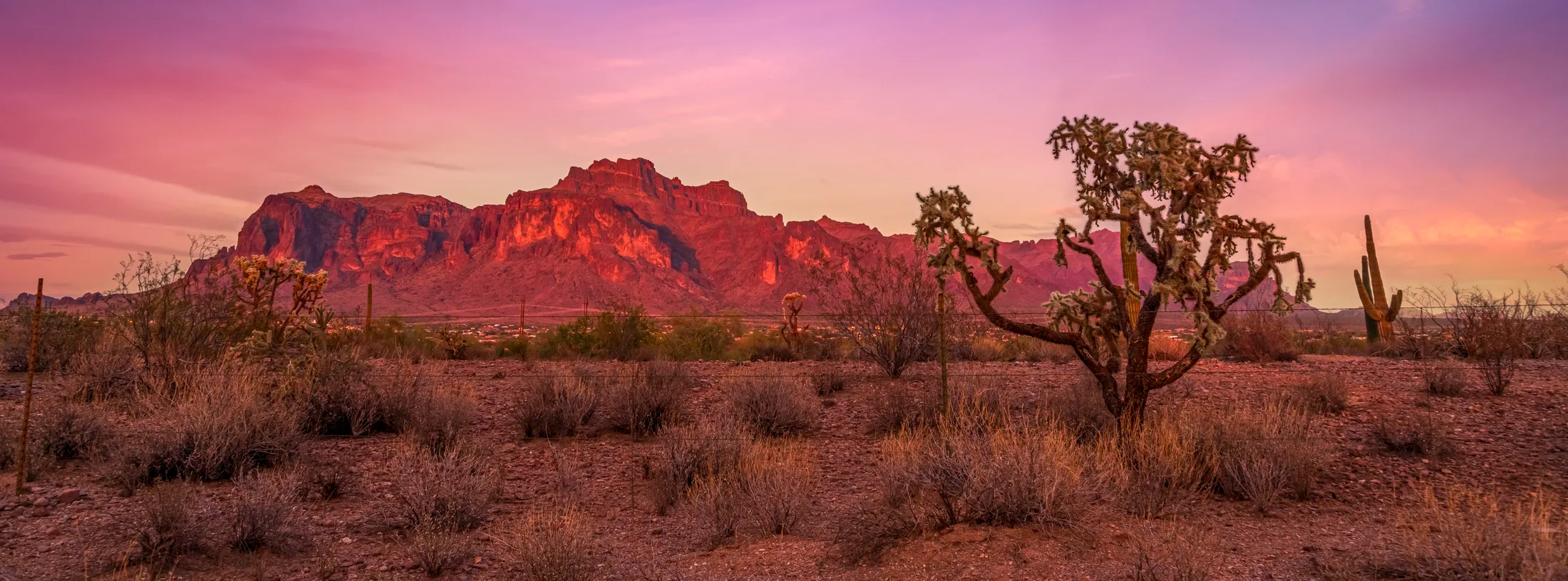 MSS (82) Cougar on Superstition Mountain September Cougar on Superstition Mountain September, sunset and sunrise, a fine art photograph by Michael Joseph Baca
