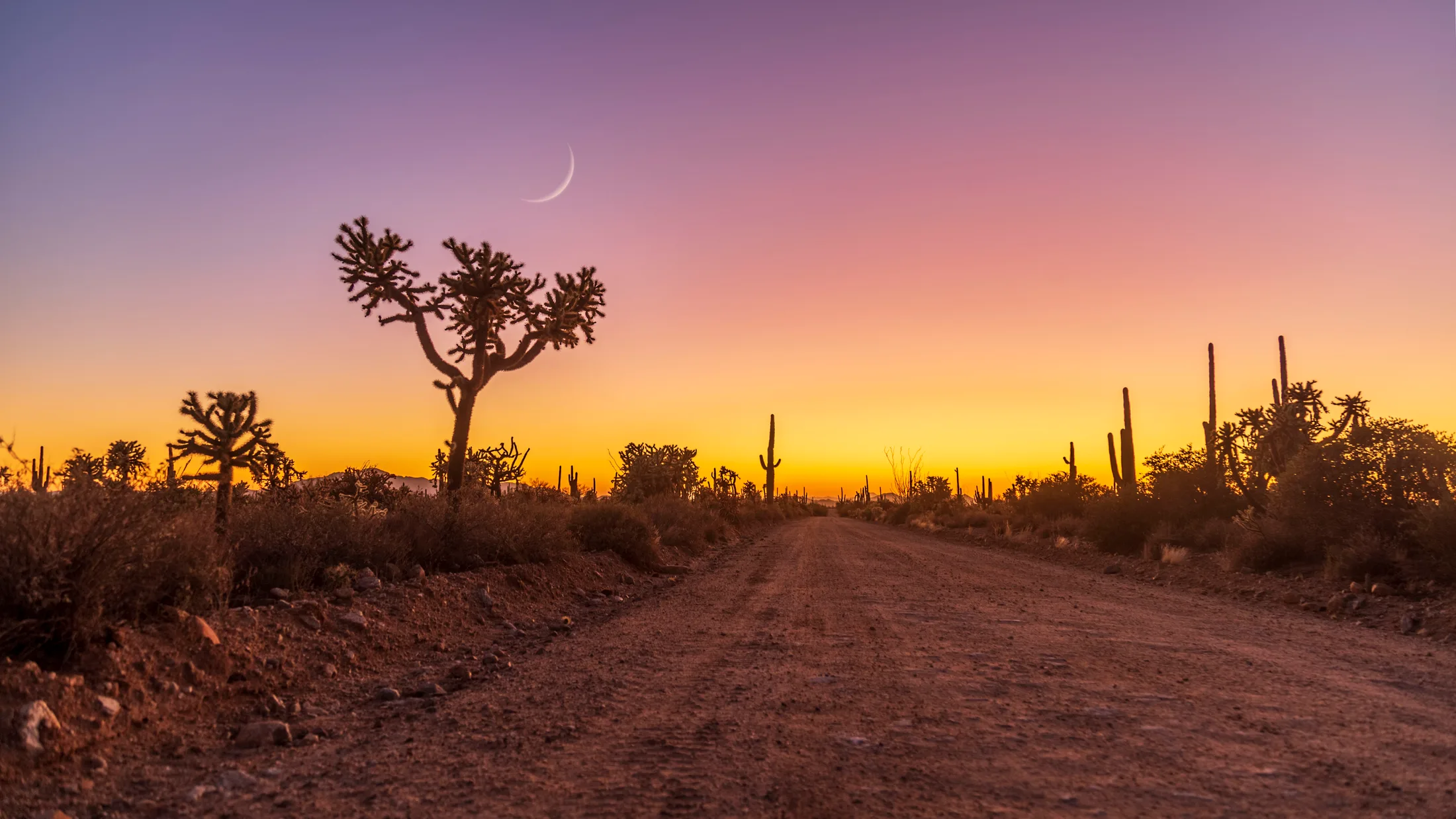 MMN (11) Crescent Moon 96 Ranch Road Crescent Moon 96 Ranch Road, a fine art photograph by Michael Joseph Baca, Casa de Baca Studios, Florence, Arizona