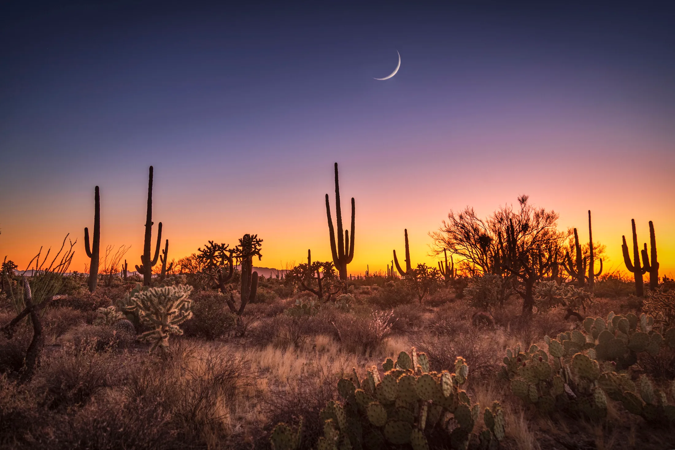 MMN (12) Crescent Moon Florence AZ Crescent Moon Florence AZ, a fine art photograph by Michael Joseph Baca, Casa de Baca Studios, Florence, Arizona