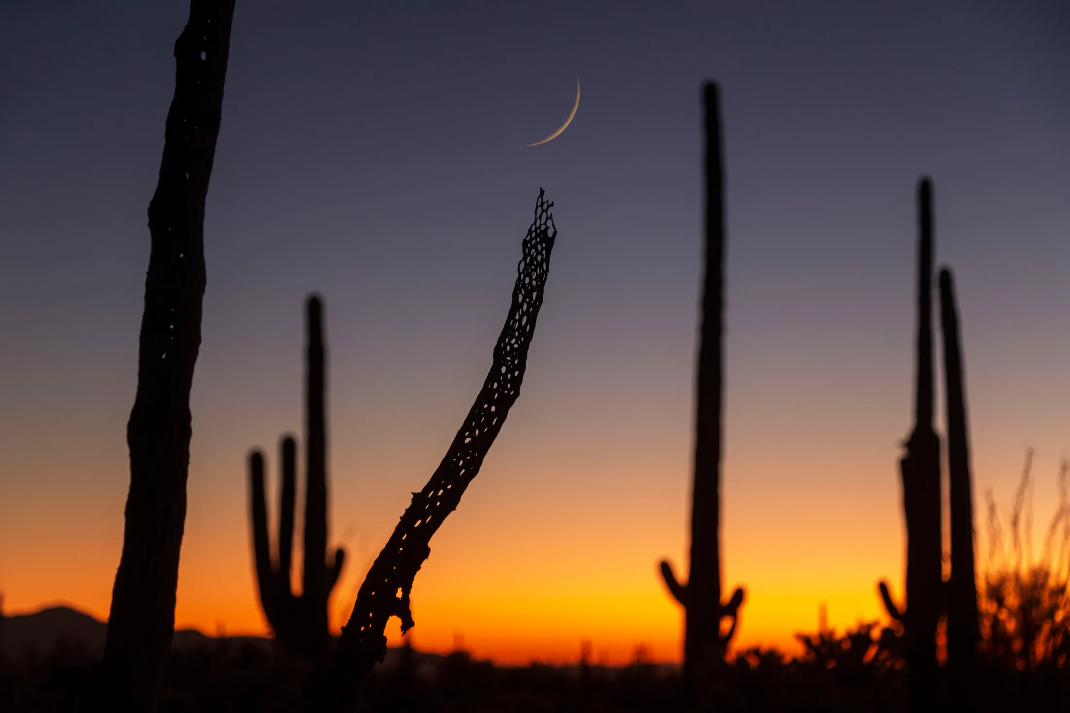 MMN (13) Crescent Moon Florence AZ Crescent Moon Florence AZ, a fine art photograph by Michael Joseph Baca, Casa de Baca Studios, Florence, Arizona