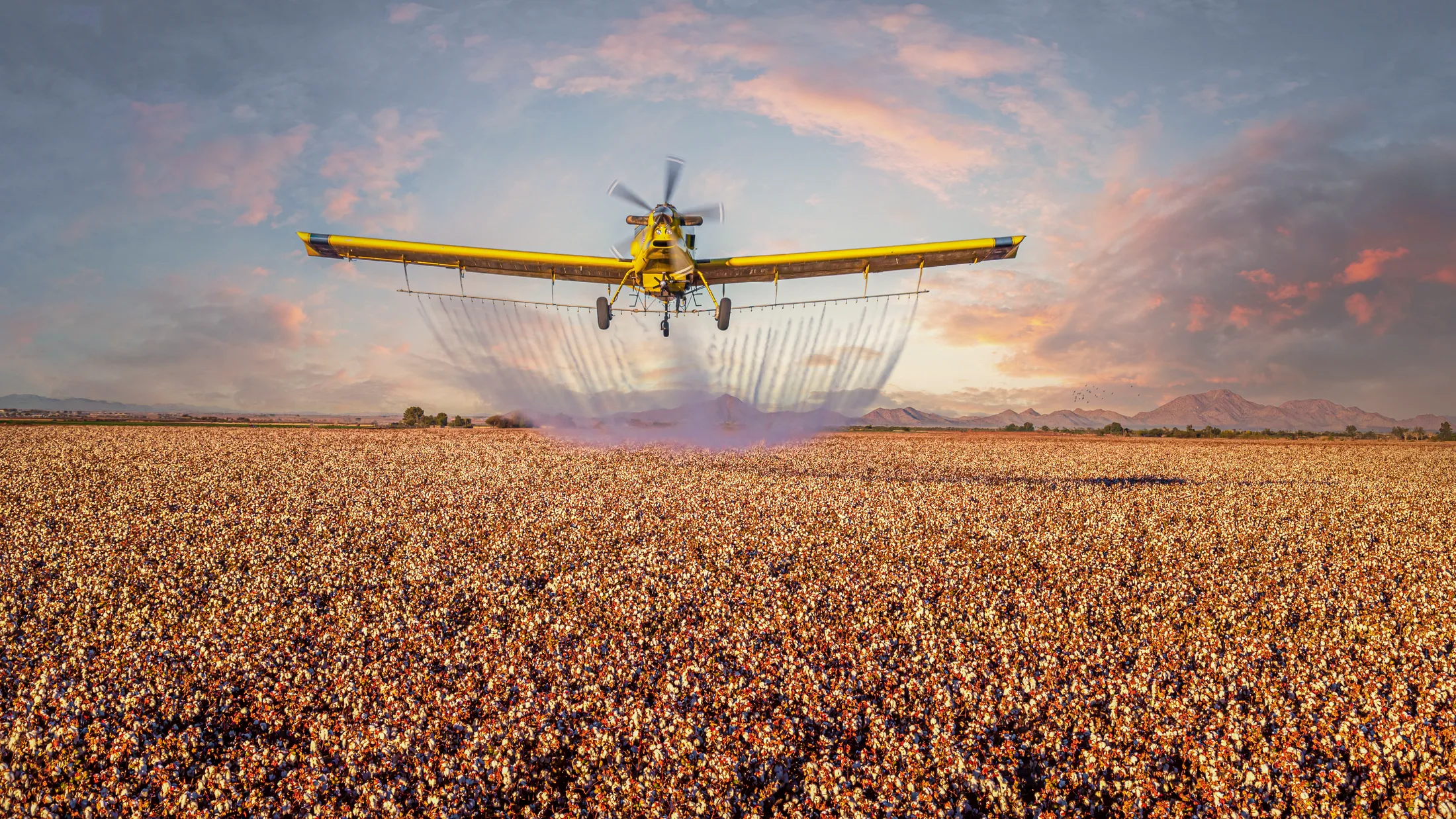 MOA (11) Crop Duster Coolidge Arizona Crop Duster Coolidge Arizona, vehicles, a fine art photograph by Michael Joseph Baca, Casa de Baca Studios, Florence, Arizona