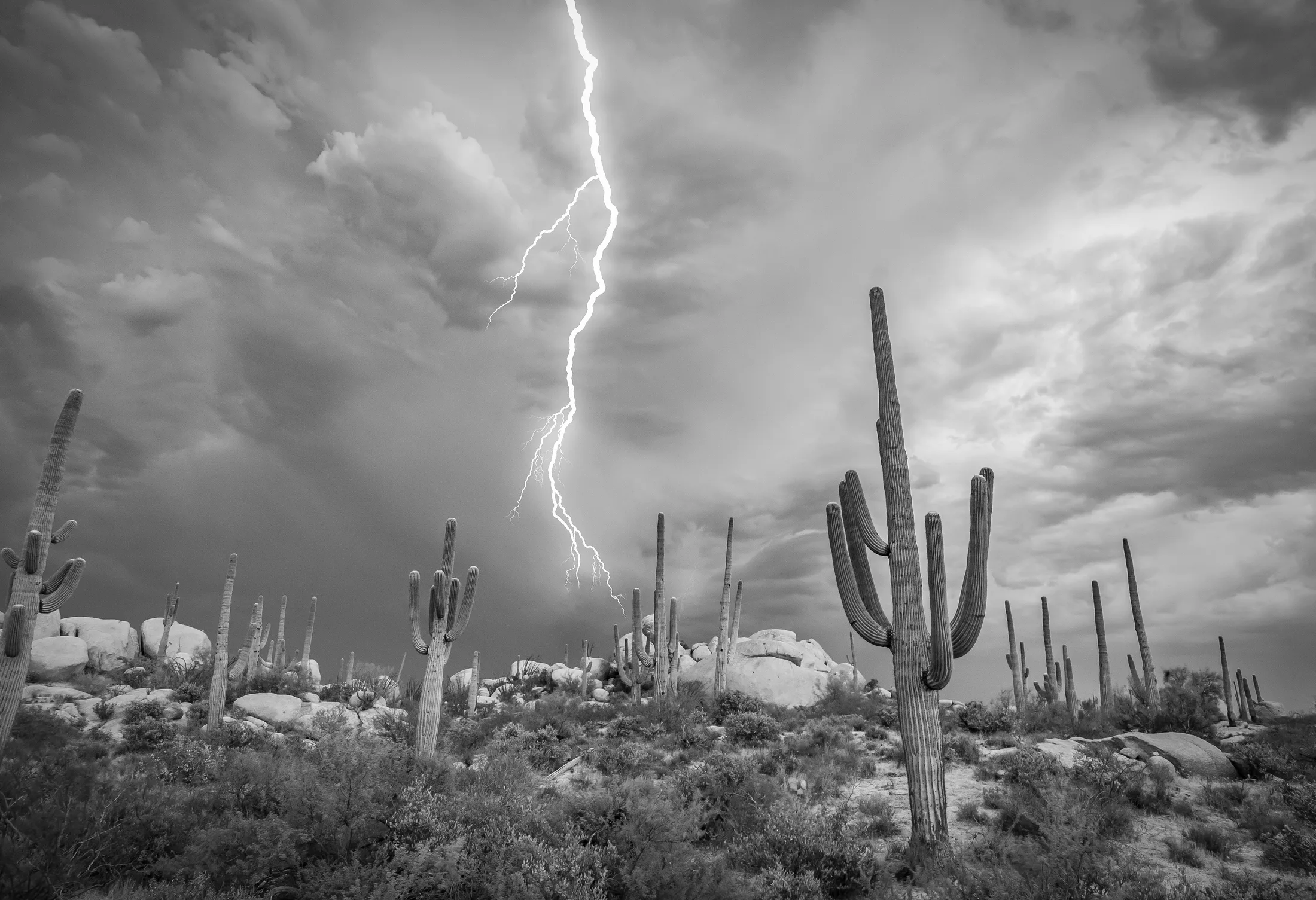 MST (13) Desert Flash The Boulder Florence AZ Desert Flash The Boulder Florence AZ, lightning, a fine art photograph by Michael Joseph Baca