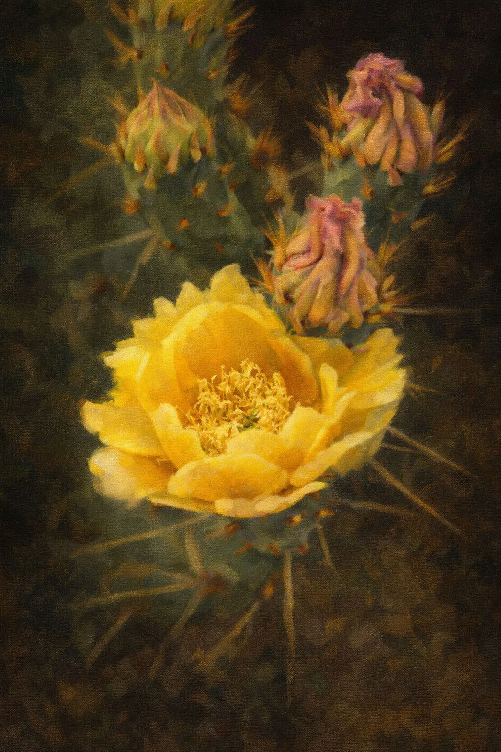 FJ046D Digital Art Prickly Pear Impressionistic painting Digital Art Prickly Pear Impressionistic painting, flowers and plants, digital art by Janell Evelyn Baca