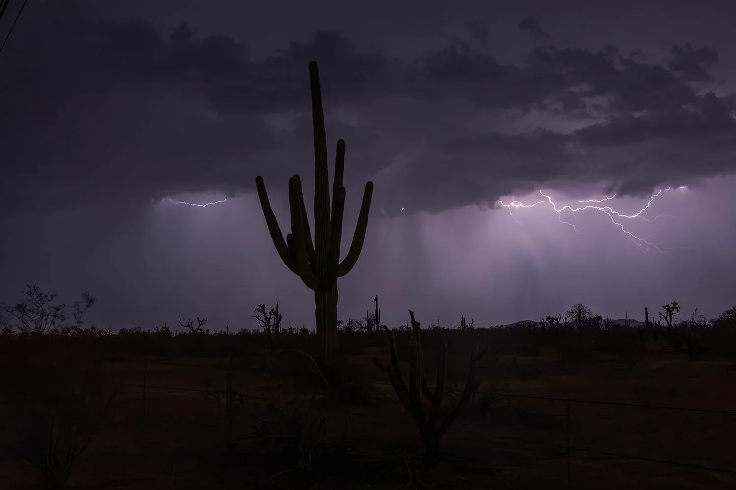 LJ041 Disconnected - Lightning off Hwy 60 Superstition Wilderness AZ Disconnected - Lightning off Hwy 60 Superstition Wilderness AZ, a fine art photograph by Janell Evelyn Baca