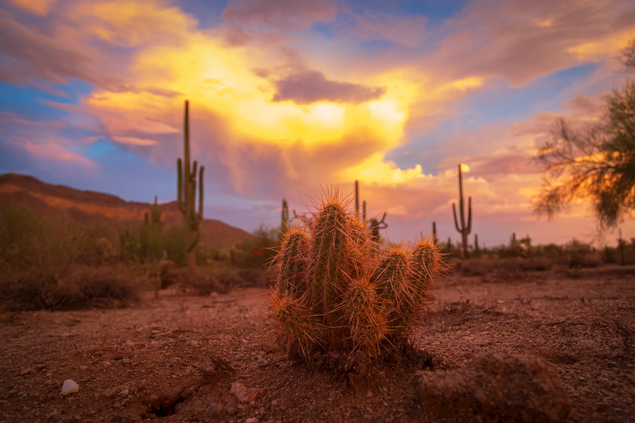 MSS (68) Ellsworth Road Mesa AZ Ellsworth Road Mesa AZ, sunset and sunrise, a fine art photograph by Michael Joseph Baca