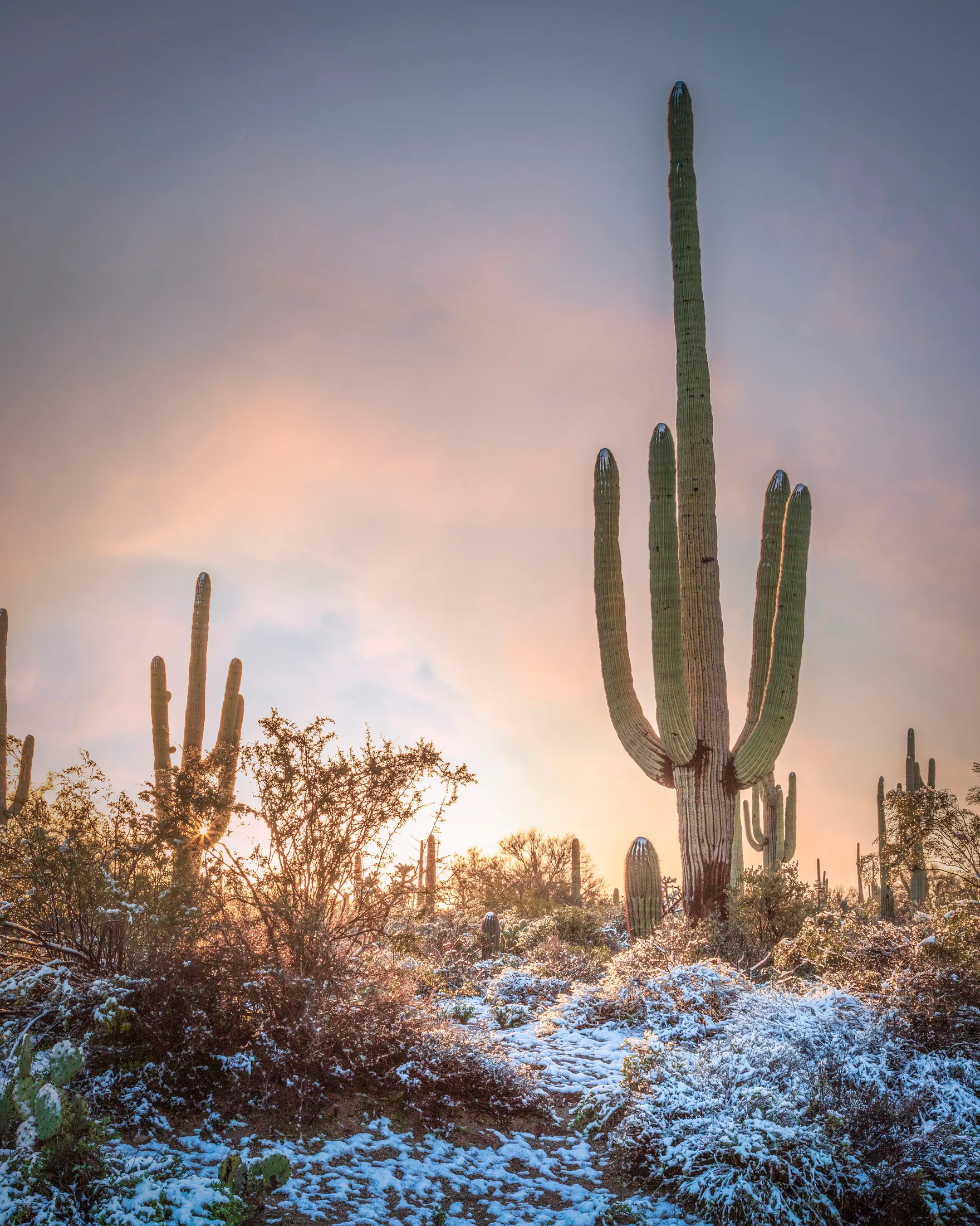 MSN (5) Florence AZ Florence AZ, snow, a fine art photograph by Michael Joseph Baca, Casa de Baca Studios, Florence, Arizona