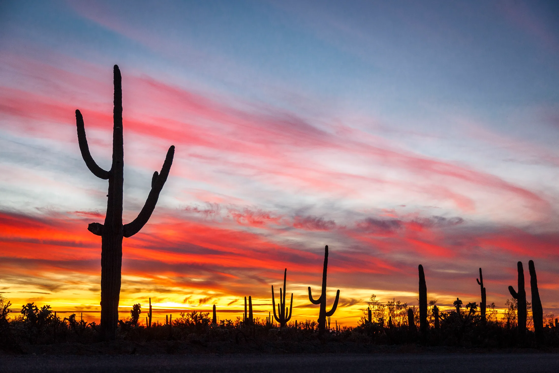 MSS (12) Florence AZ Florence AZ, sunset and sunrise, a fine art photograph by Michael Joseph Baca, Casa de Baca Studios, Florence, Arizona