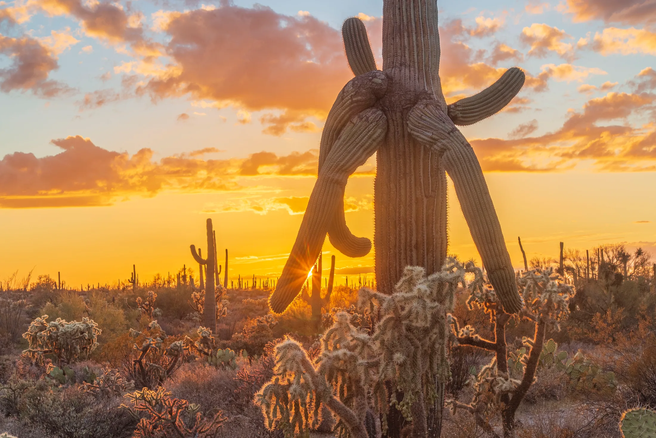 MSS (48) Florence AZ Florence AZ, sunset and sunrise, a fine art photograph by Michael Joseph Baca, Casa de Baca Studios, Florence, Arizona