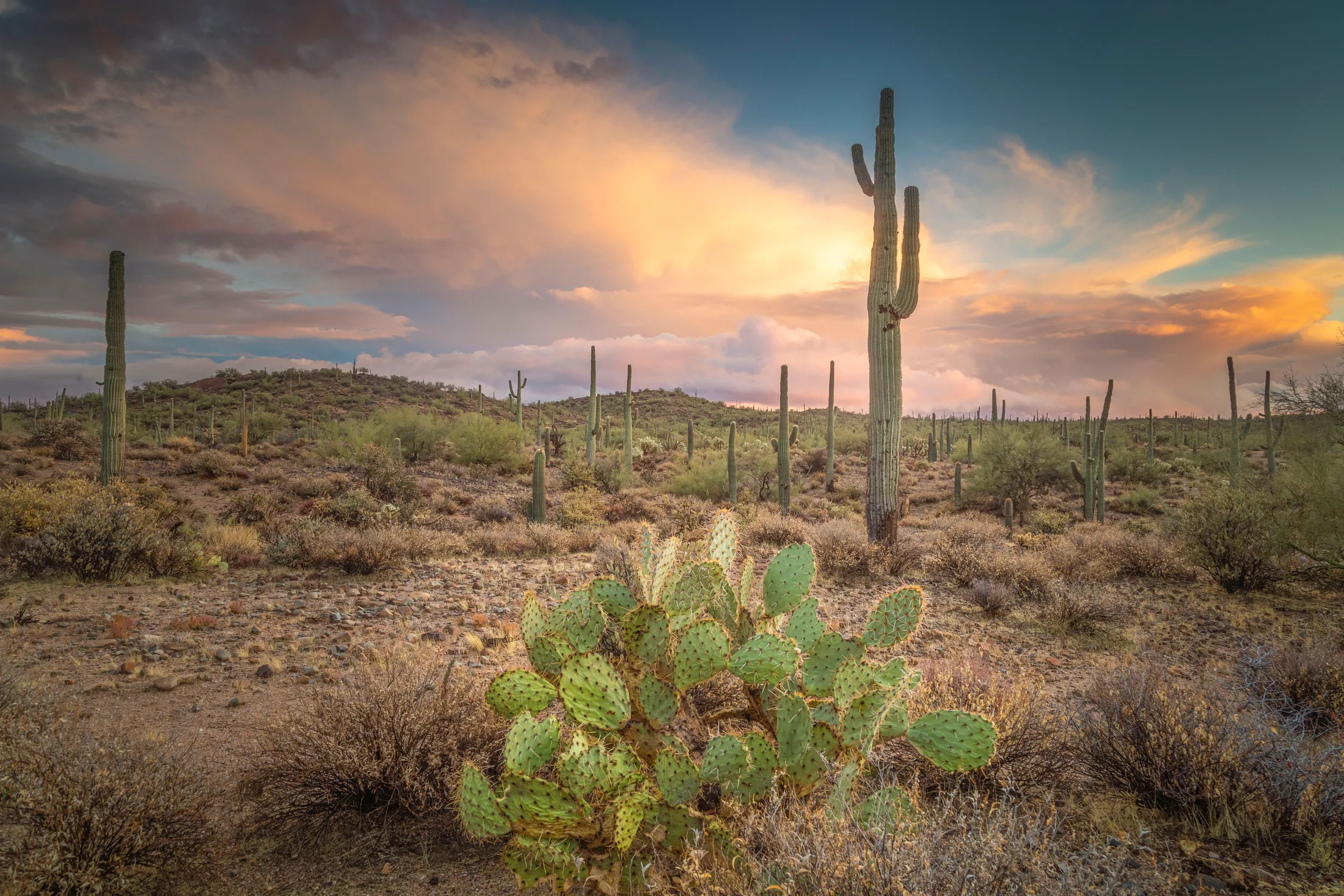 MSS (47) Florence AZ Florence AZ, sunset and sunrise, a fine art photograph by Michael Joseph Baca, Casa de Baca Studios, Florence, Arizona