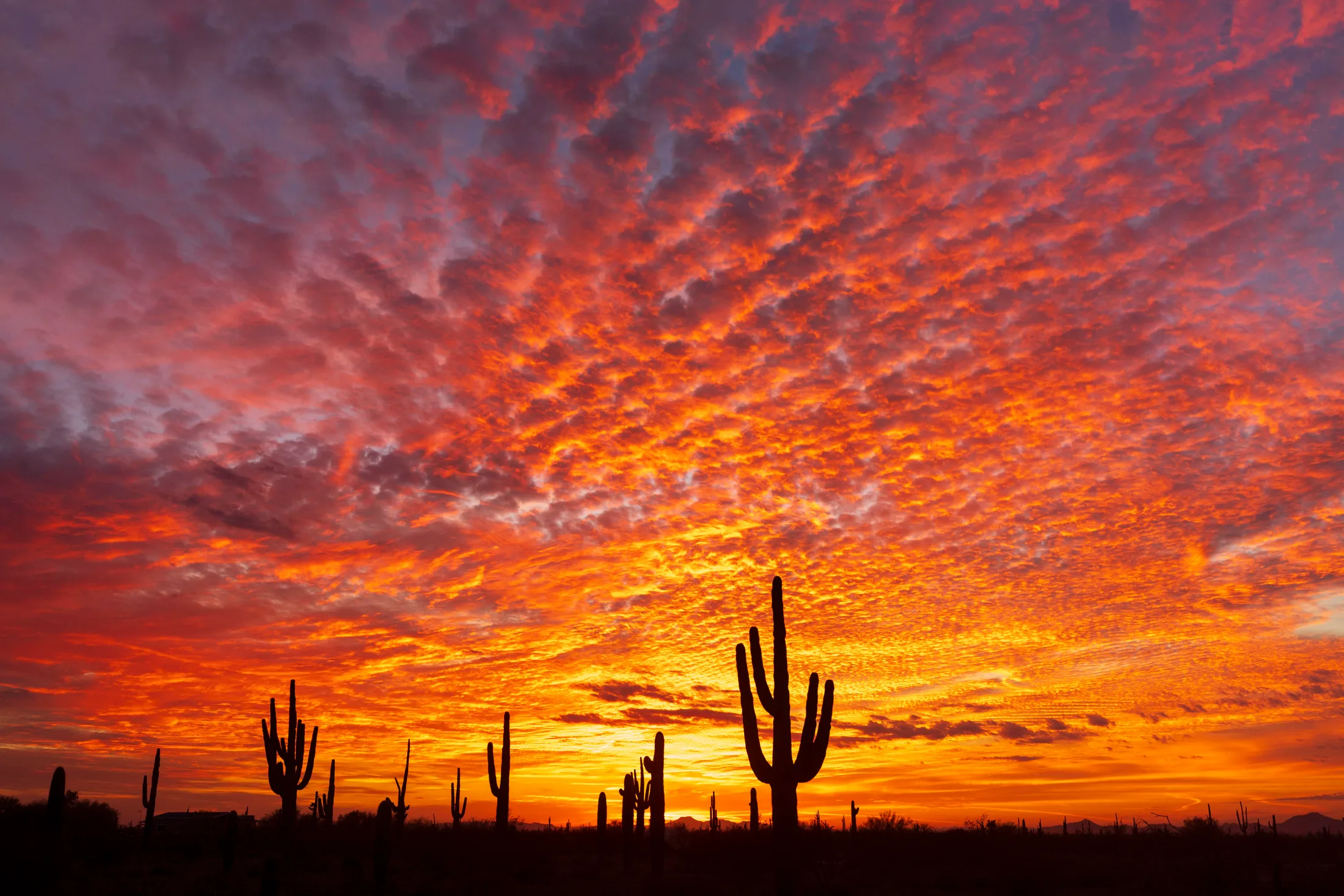 MSS (85) Florence AZ Florence AZ, sunset and sunrise, a fine art photograph by Michael Joseph Baca, Casa de Baca Studios, Florence, Arizona