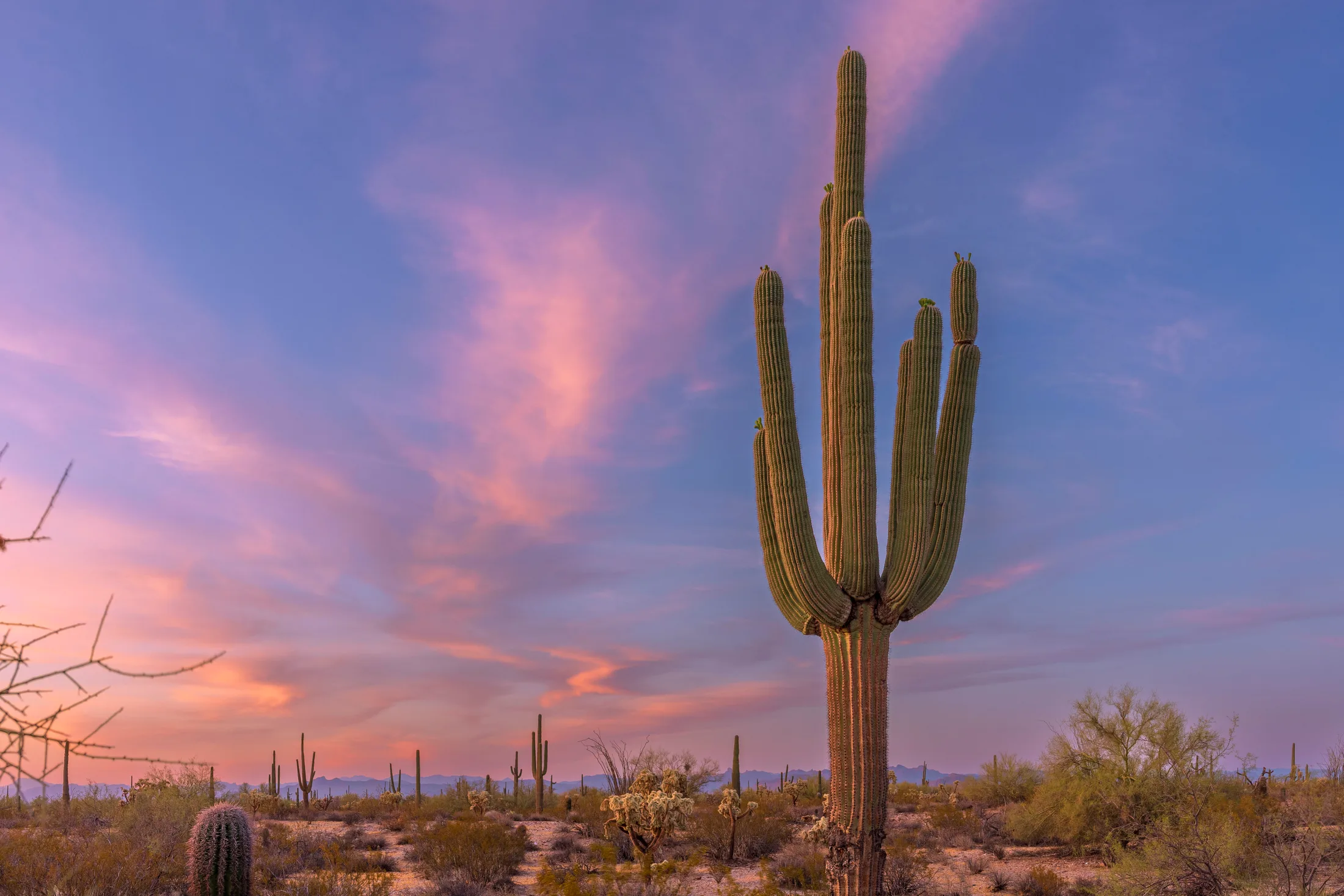 MSS (91) Florence AZ Florence AZ, sunset and sunrise, a fine art photograph by Michael Joseph Baca, Casa de Baca Studios, Florence, Arizona