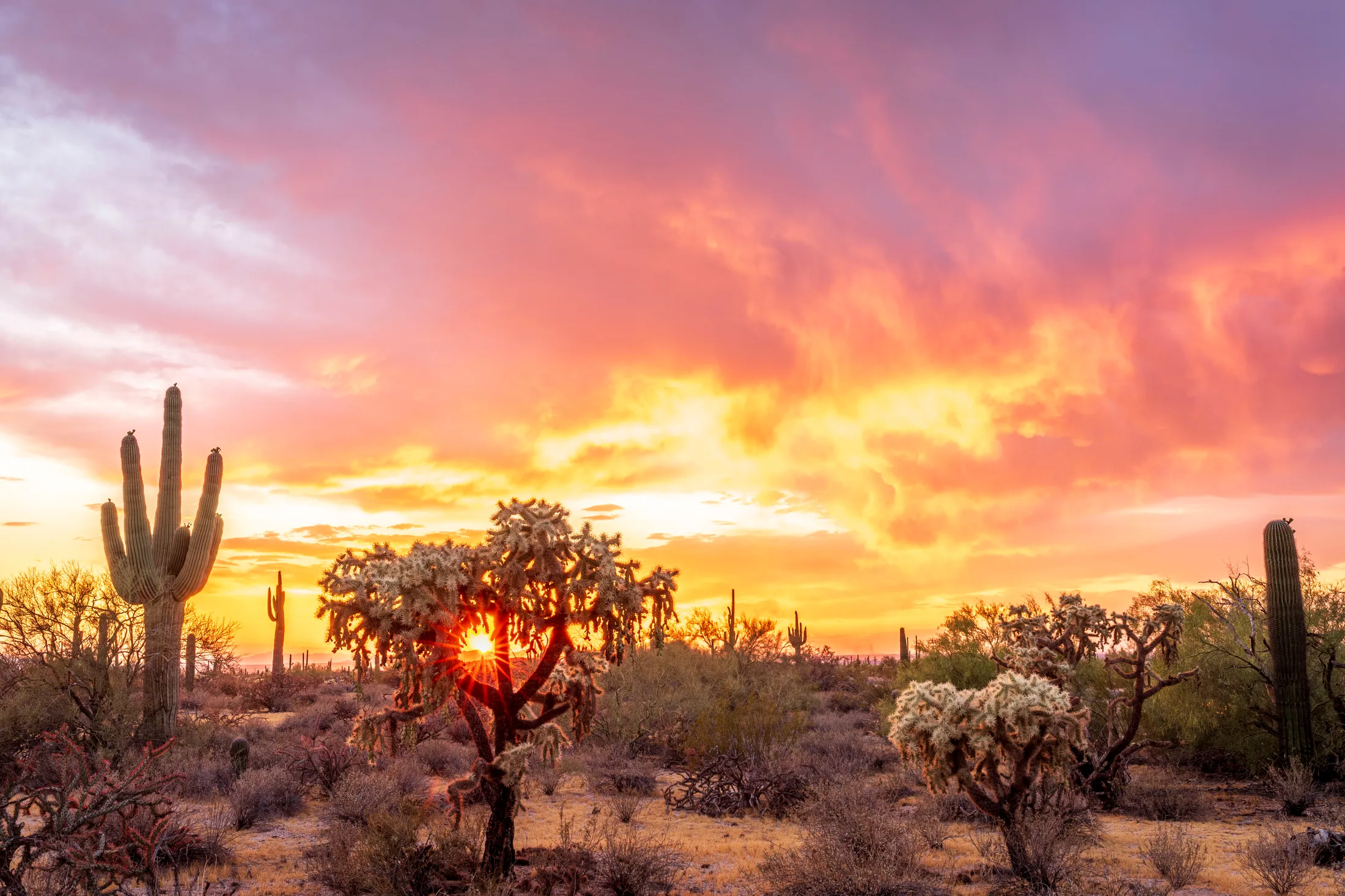MSS (90) Florence AZ Florence AZ, sunset and sunrise, a fine art photograph by Michael Joseph Baca, Casa de Baca Studios, Florence, Arizona