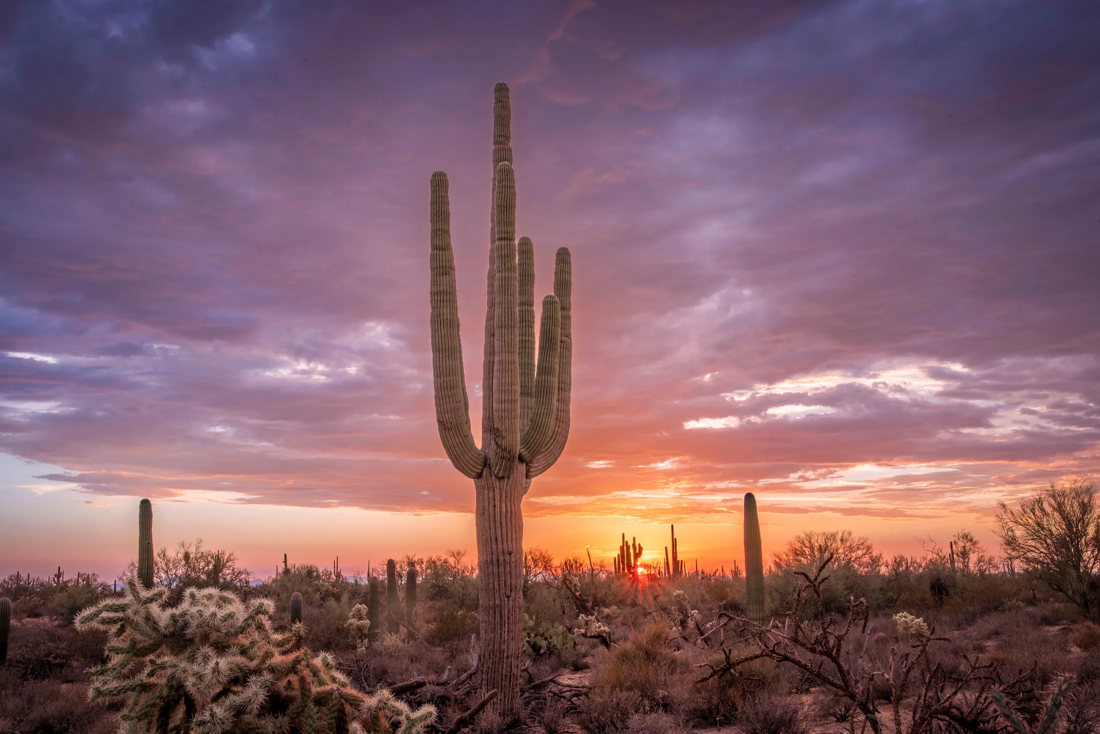 MSS (95) Florence AZ Florence AZ, sunset and sunrise, a fine art photograph by Michael Joseph Baca, Casa de Baca Studios, Florence, Arizona