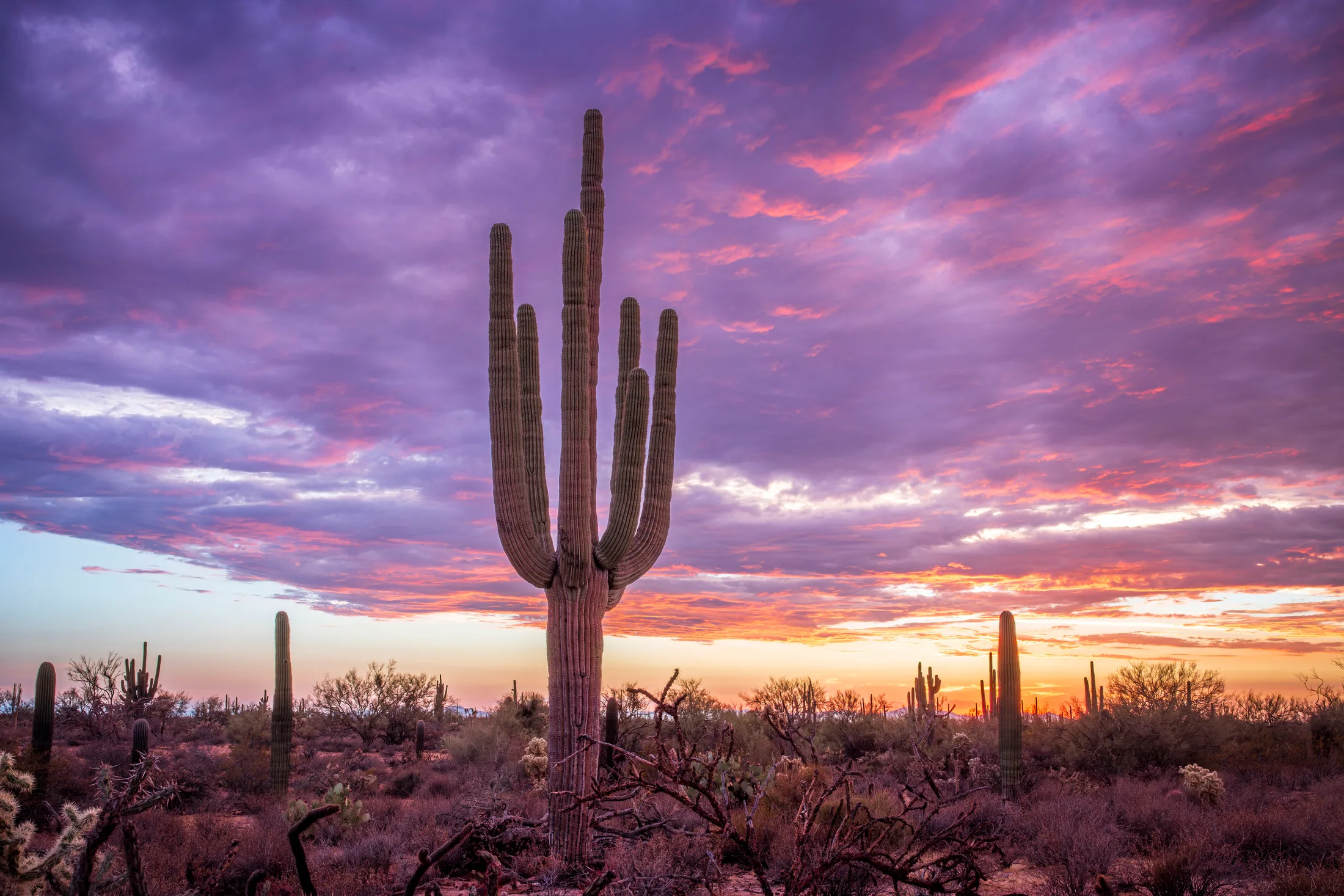 MSS (96) Florence AZ Florence AZ, sunset and sunrise, a fine art photograph by Michael Joseph Baca, Casa de Baca Studios, Florence, Arizona