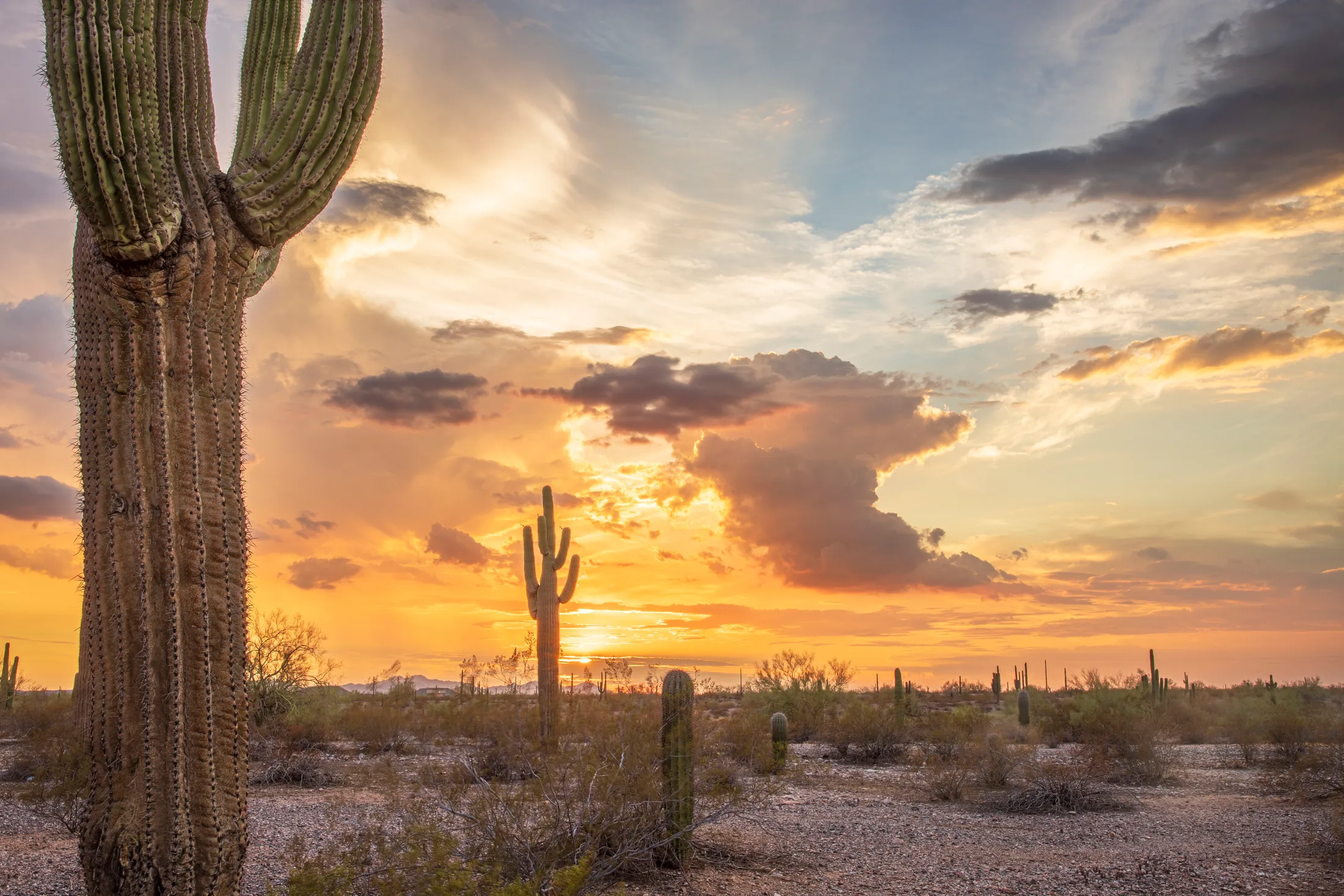 MSS (97) Florence AZ Florence AZ, sunset and sunrise, a fine art photograph by Michael Joseph Baca, Casa de Baca Studios, Florence, Arizona