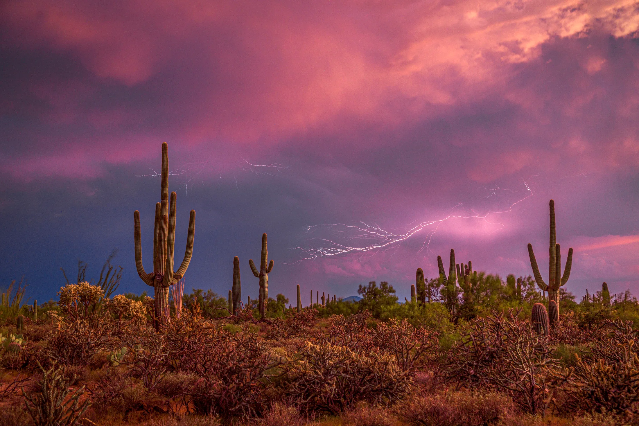 MST (23) Florence AZ Florence AZ, lightning, a fine art photograph by Michael Joseph Baca, Casa de Baca Studios, Florence, Arizona