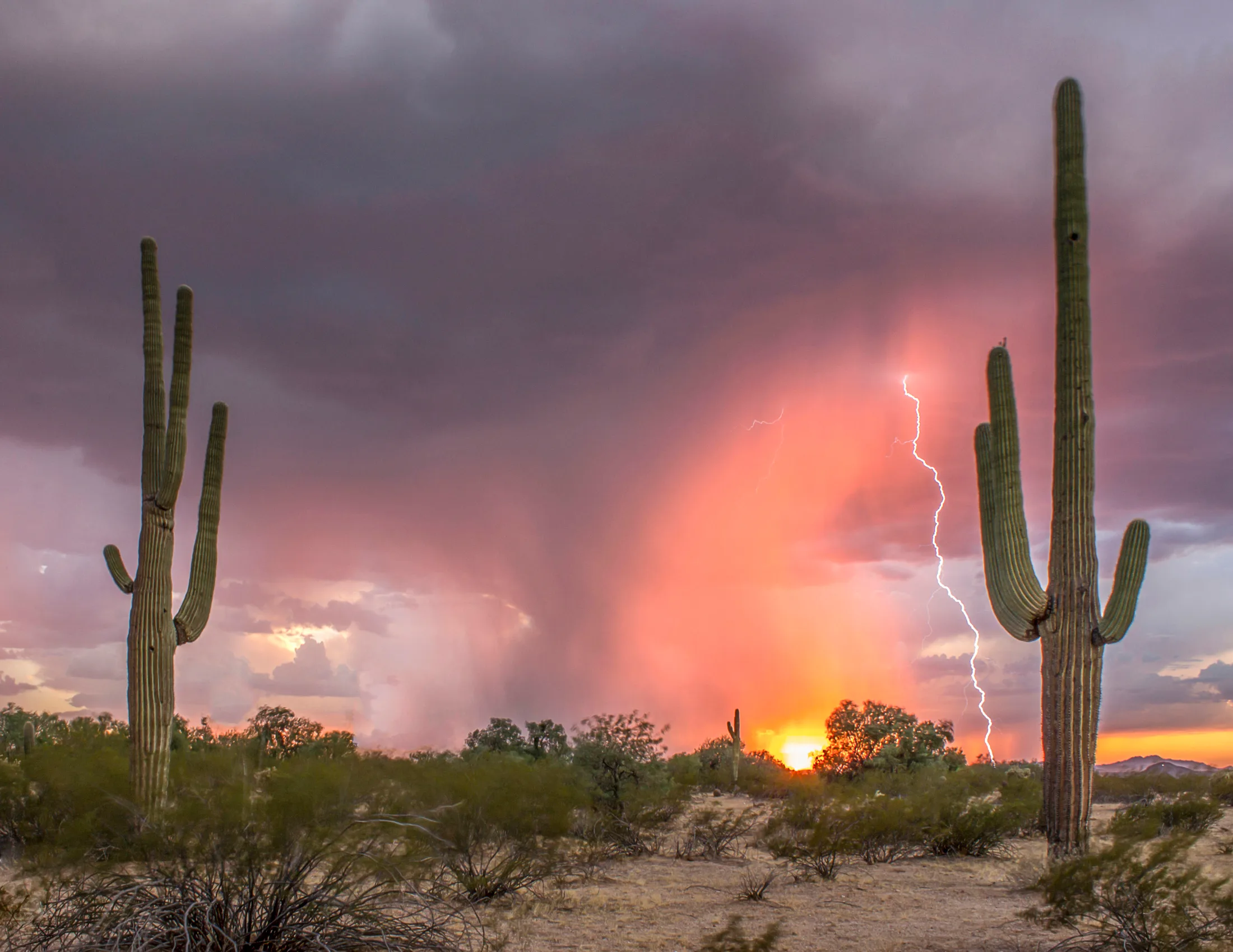 MST (1) Florence AZ Florence AZ, lightning, a fine art photograph by Michael Joseph Baca, Casa de Baca Studios, Florence, Arizona