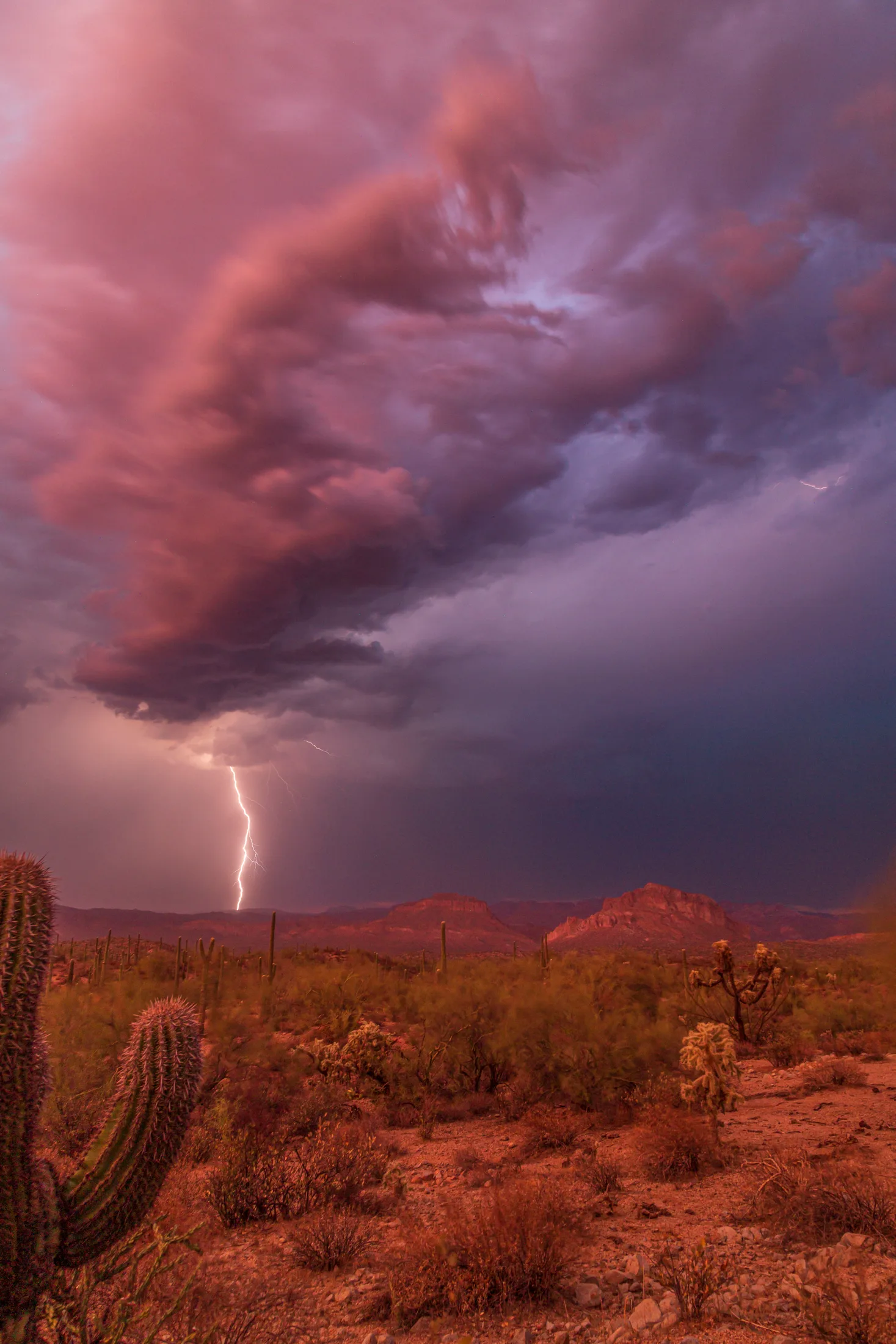 MST (21) Florence AZ Florence AZ, lightning, a fine art photograph by Michael Joseph Baca, Casa de Baca Studios, Florence, Arizona