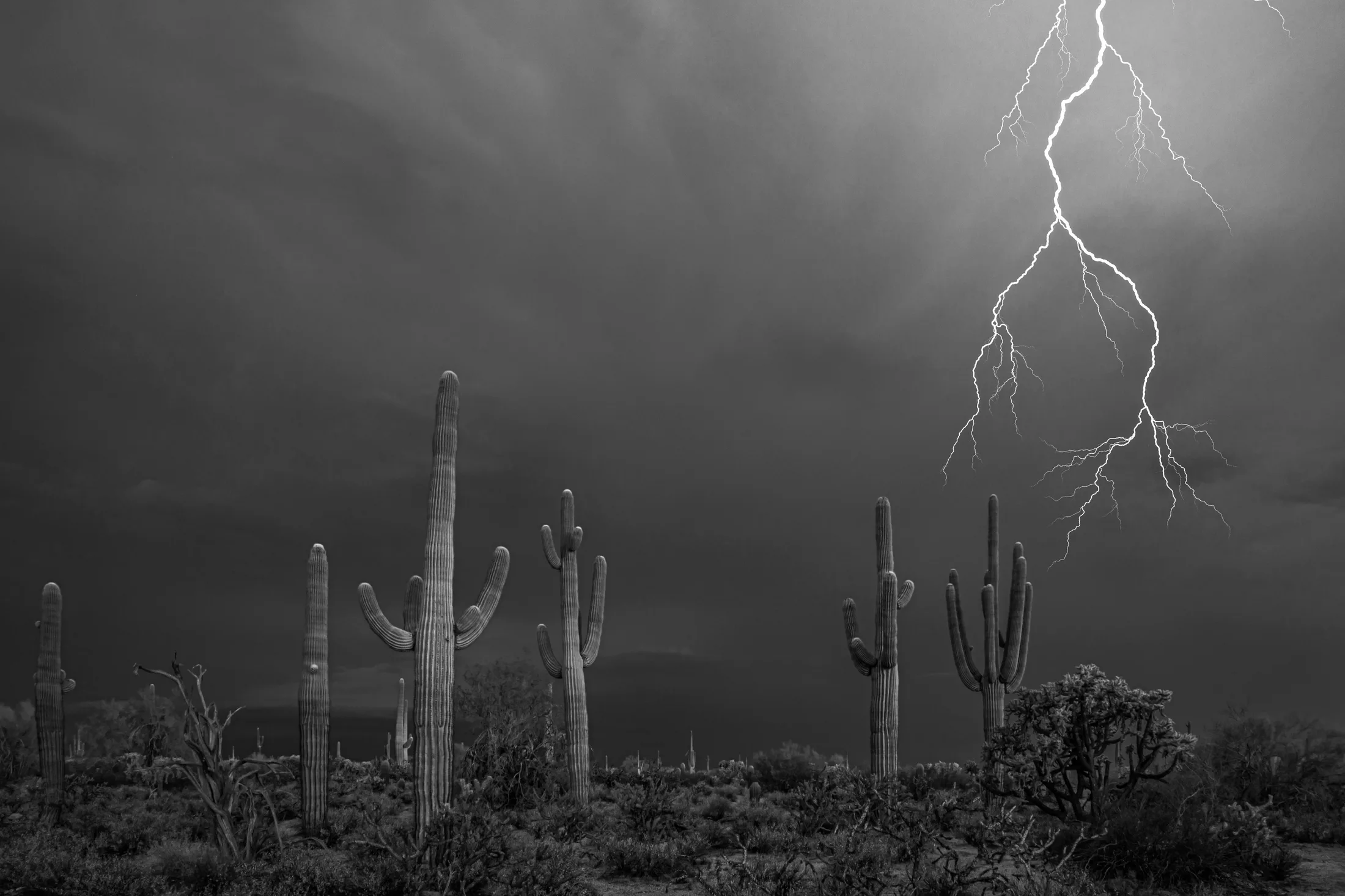 MST (25) Florence AZ Florence AZ, lightning, a fine art photograph by Michael Joseph Baca, Casa de Baca Studios, Florence, Arizona
