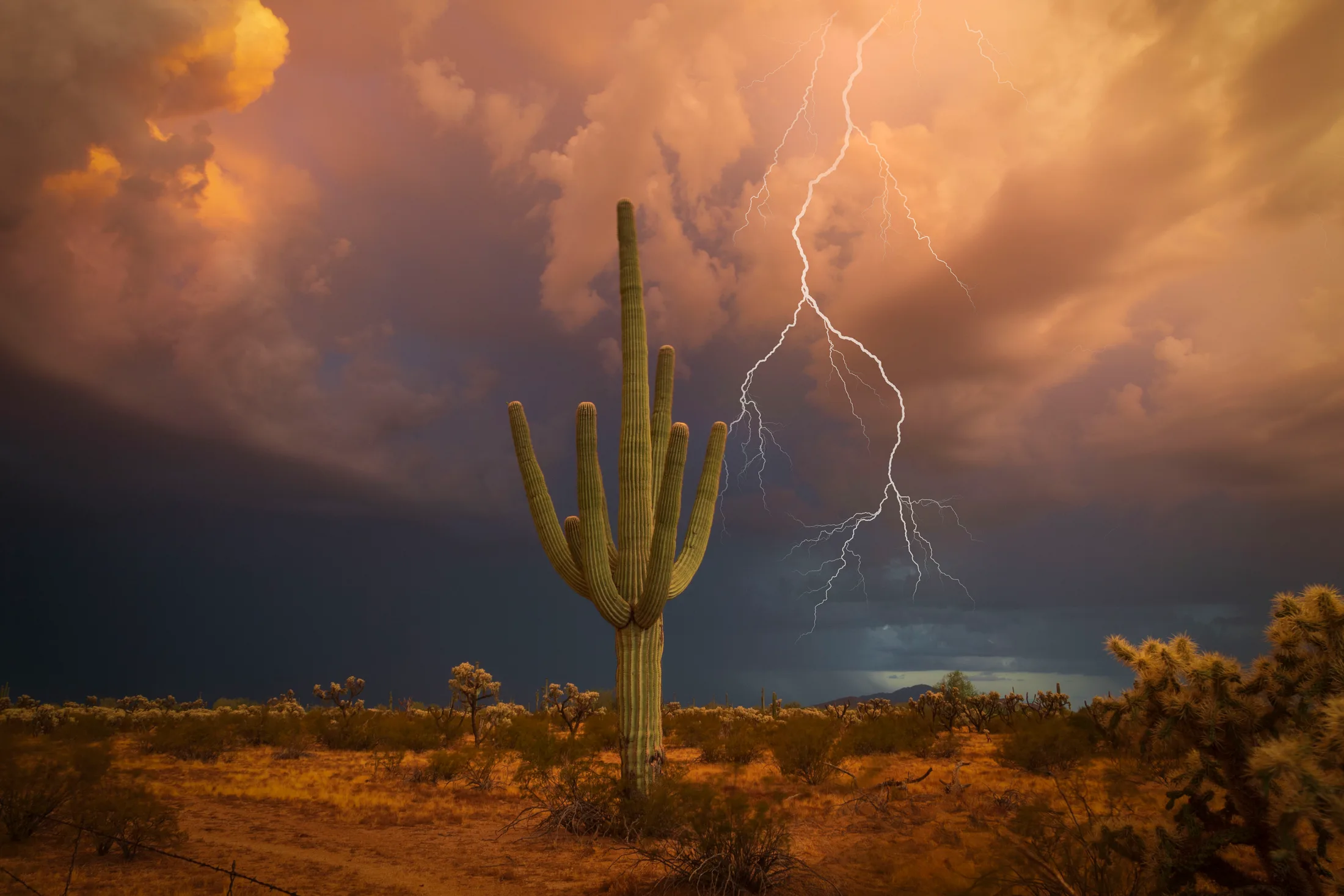 MST (29) Florence AZ Florence AZ, lightning, a fine art photograph by Michael Joseph Baca, Casa de Baca Studios, Florence, Arizona