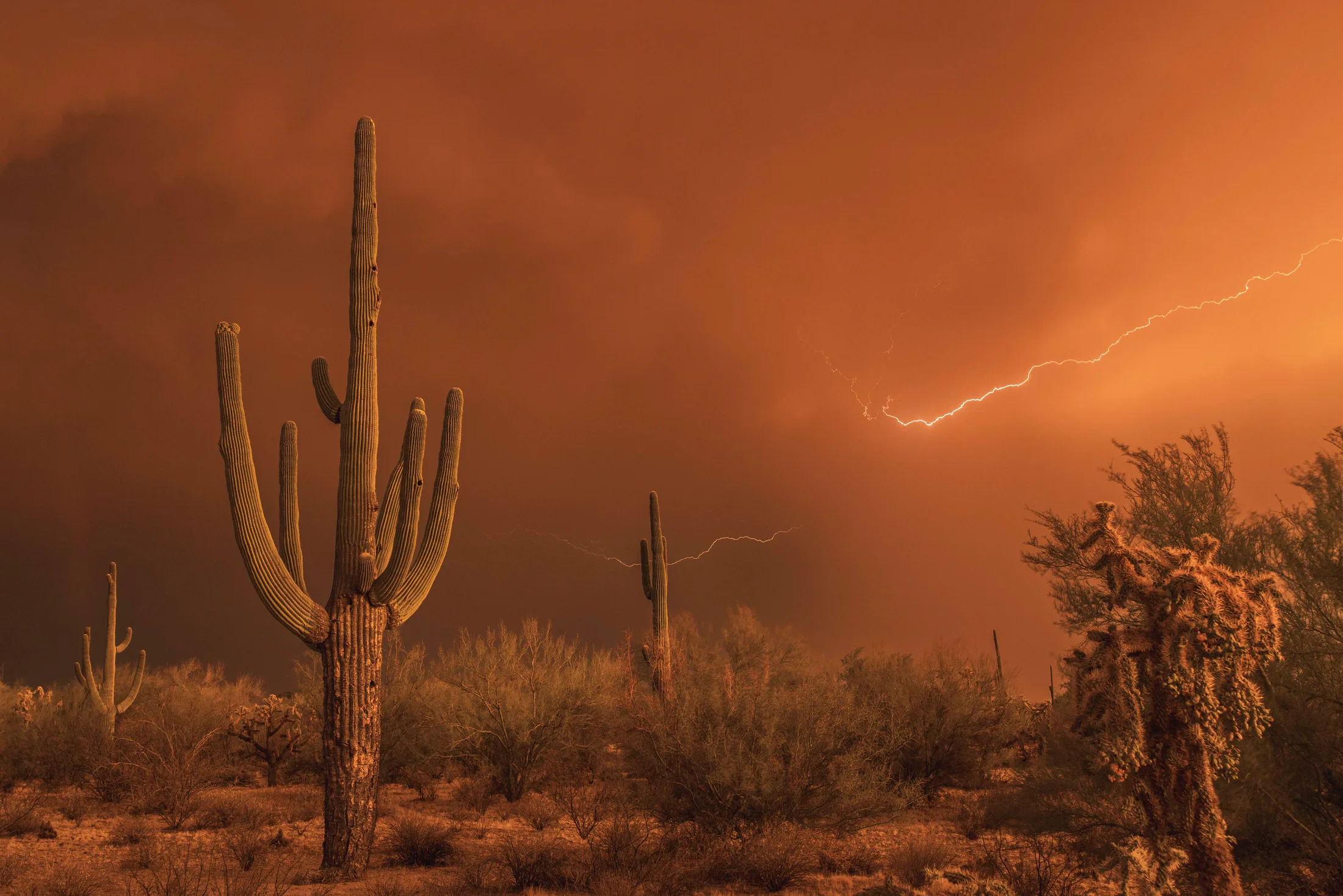 MST (70) Florence AZ Florence AZ, lightning, a fine art photograph by Michael Joseph Baca, Casa de Baca Studios, Florence, Arizona