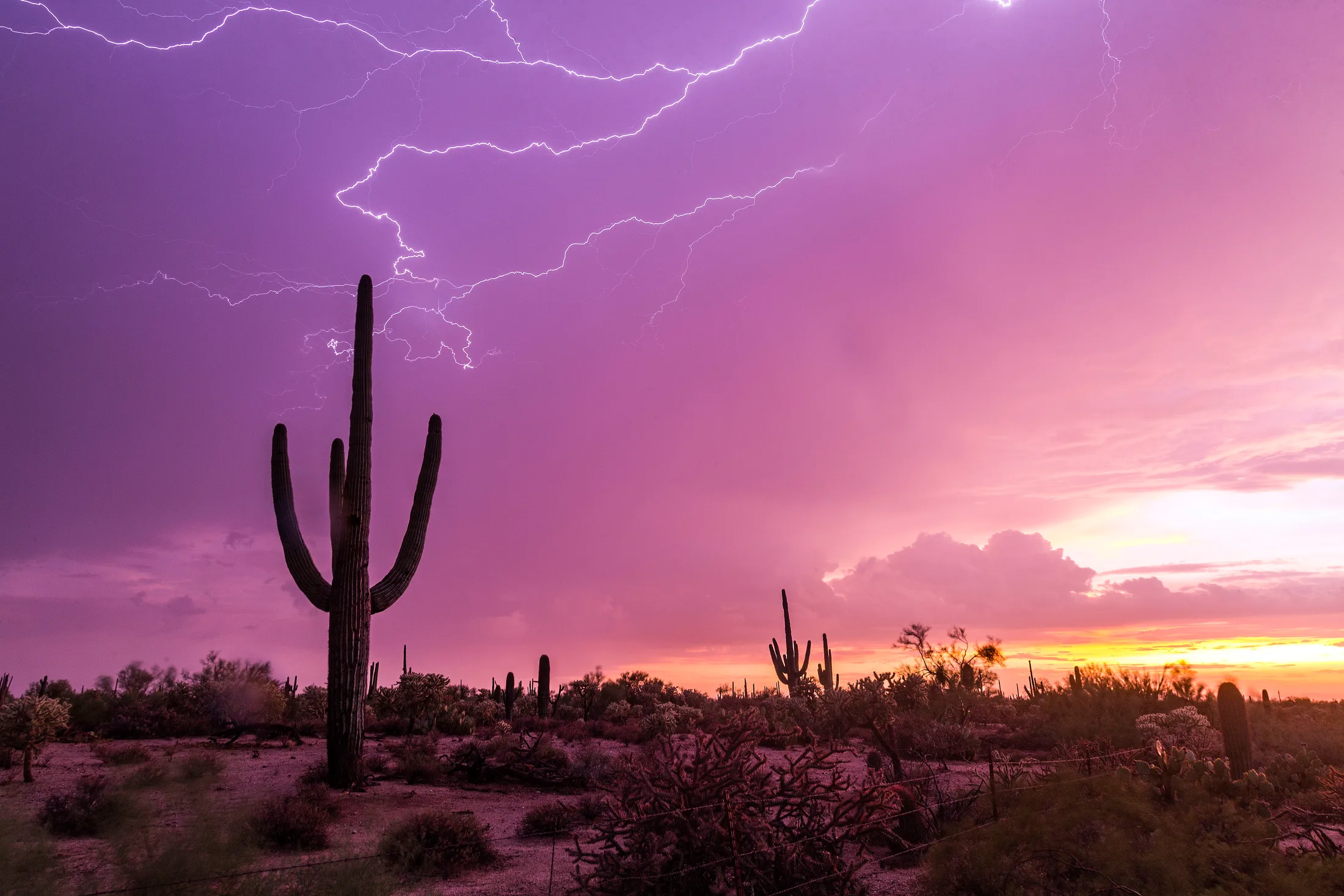 MST (7) Florence AZ Florence AZ, lightning, a fine art photograph by Michael Joseph Baca, Casa de Baca Studios, Florence, Arizona