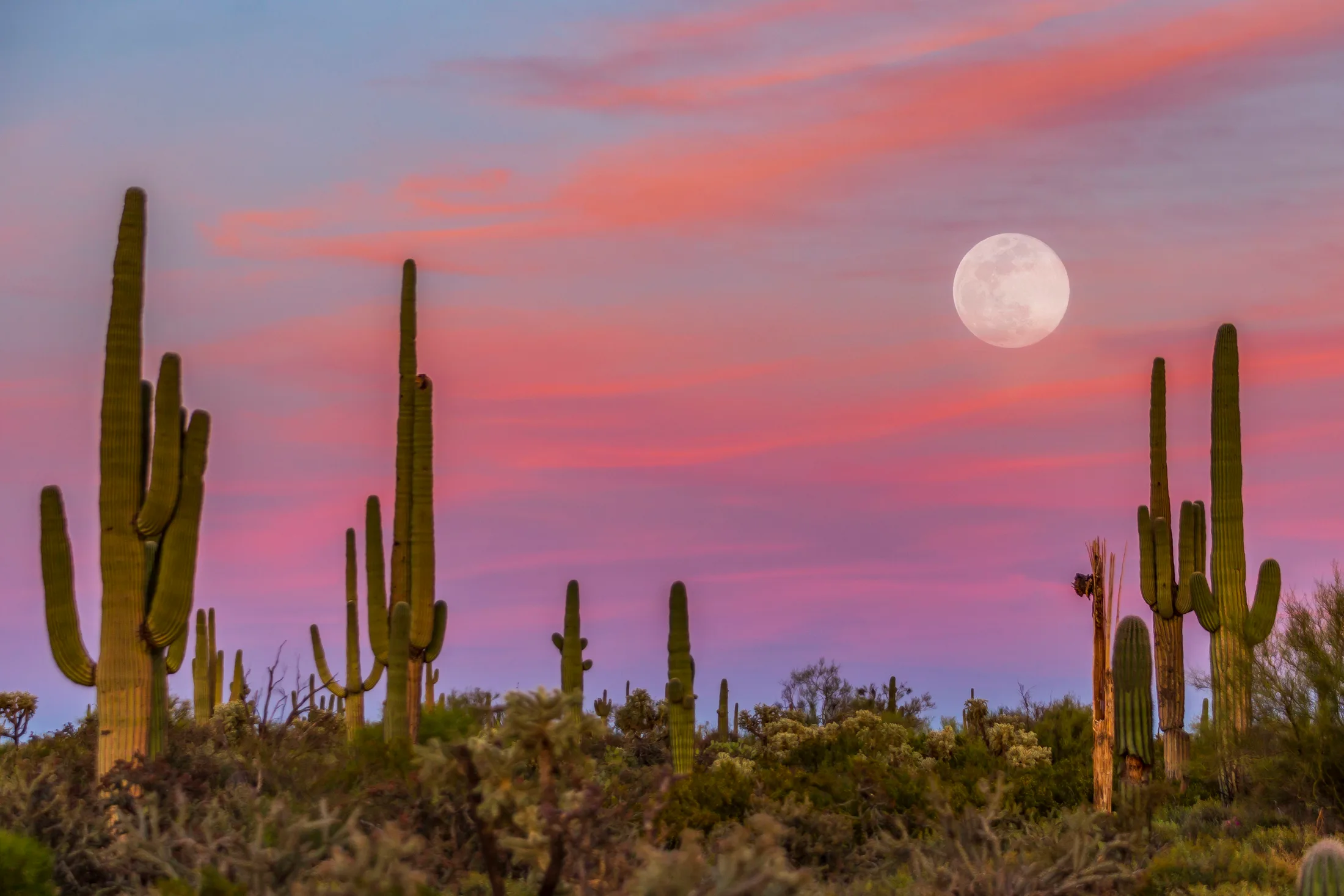 MMN (7) Florence AZ Florence AZ, moon, a fine art photograph by Michael Joseph Baca, Casa de Baca Studios, Florence, Arizona