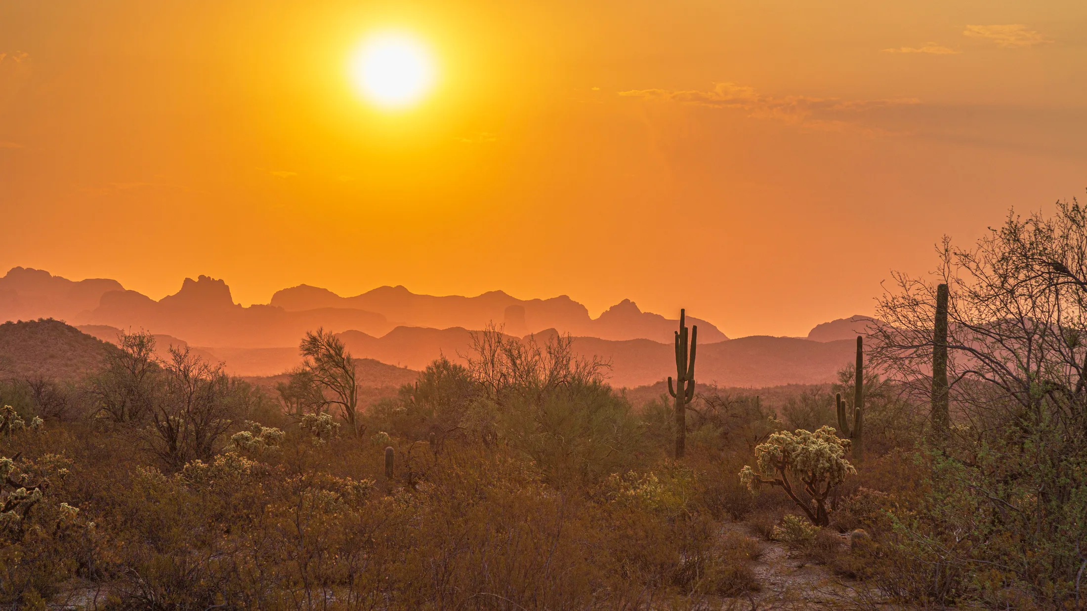 MSS (53) Florence AZ Florence AZ, sunset and sunrise, a fine art photograph by Michael Joseph Baca, Casa de Baca Studios, Florence, Arizona