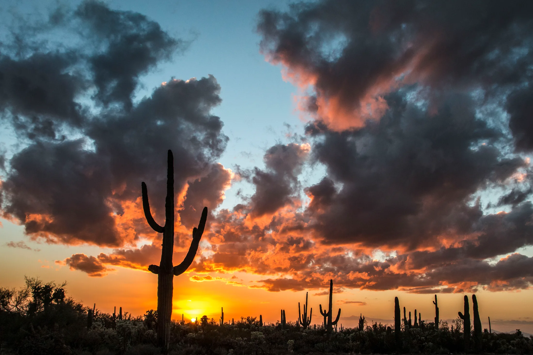 MSS (6) Florence AZ Florence AZ, sunset and sunrise, a fine art photograph by Michael Joseph Baca, Casa de Baca Studios, Florence, Arizona