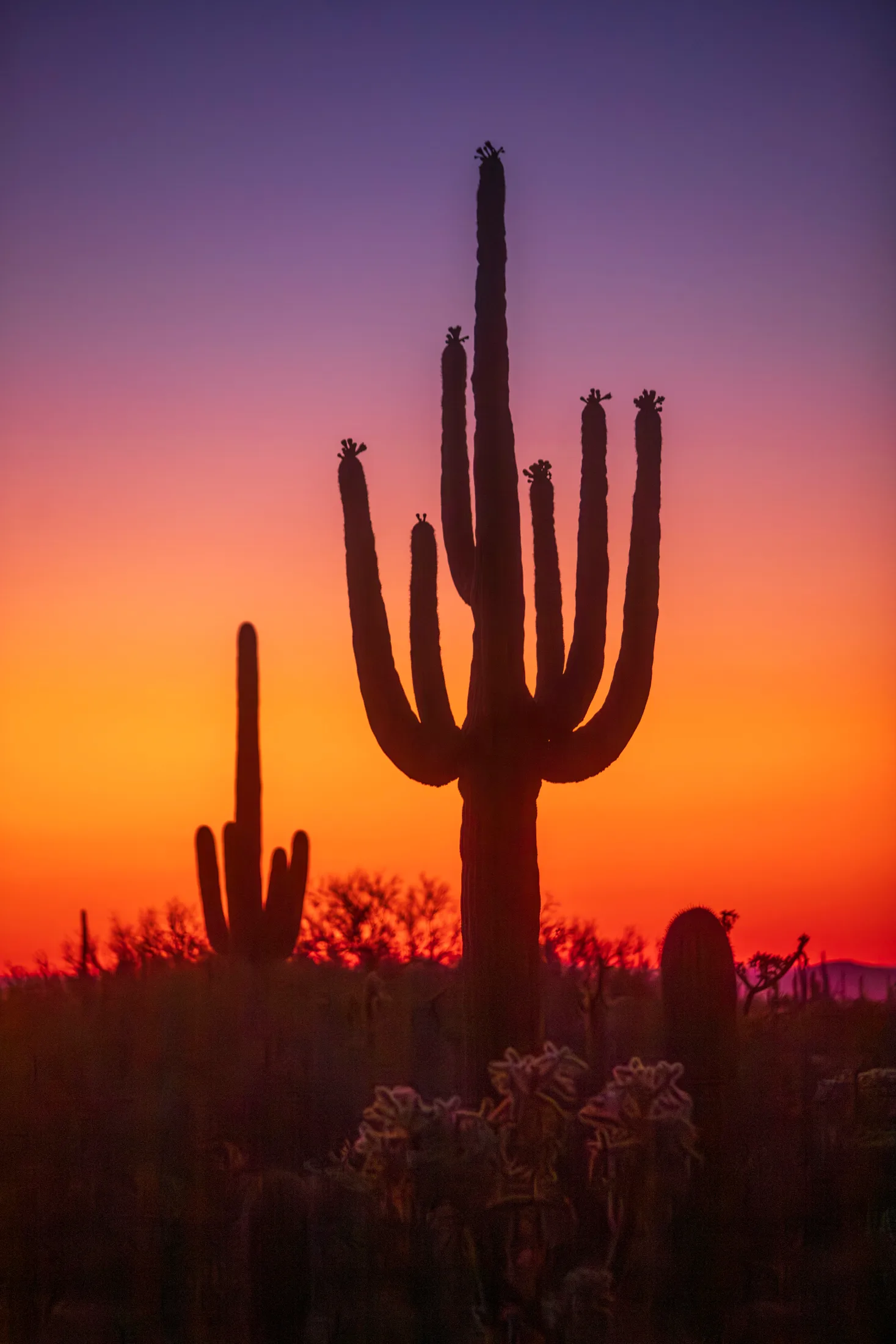 MSS (89) Florence AZ Florence AZ, sunset and sunrise, a fine art photograph by Michael Joseph Baca, Casa de Baca Studios, Florence, Arizona