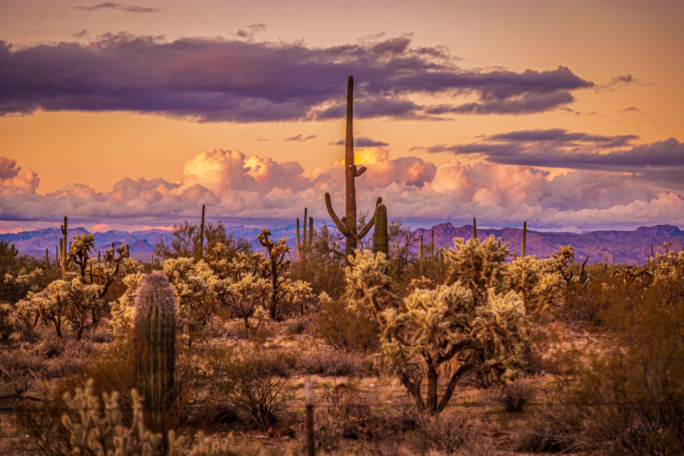 MSS (36) Florence AZ Florence AZ, sunset and sunrise, a fine art photograph by Michael Joseph Baca, Casa de Baca Studios, Florence, Arizona