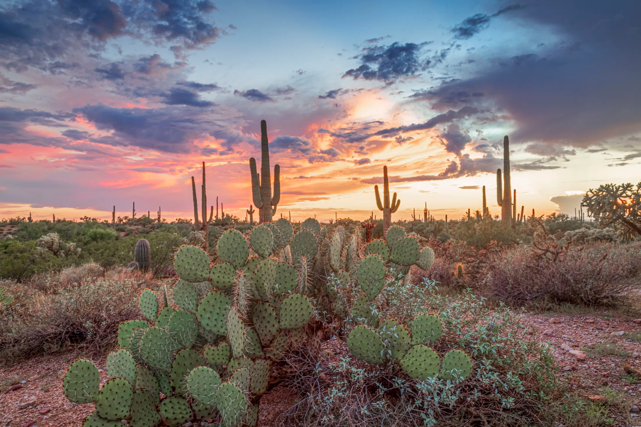 MSS (46) Florence AZ Florence AZ, sunset and sunrise, a fine art photograph by Michael Joseph Baca, Casa de Baca Studios, Florence, Arizona