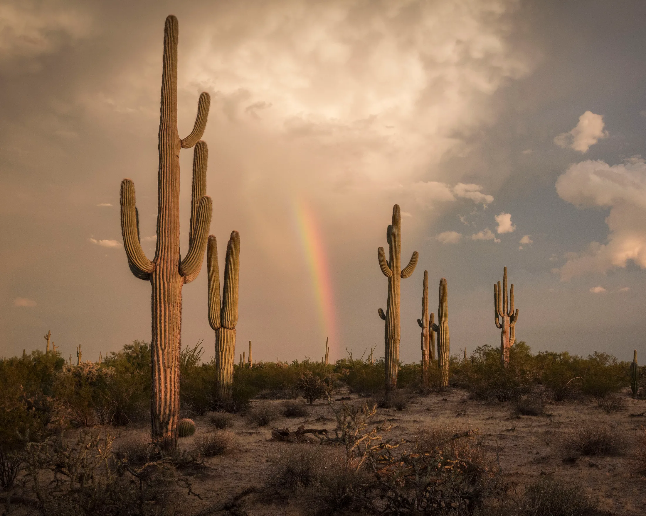 MSS (5) Florence AZ Florence AZ, sunset and sunrise, a fine art photograph by Michael Joseph Baca, Casa de Baca Studios, Florence, Arizona
