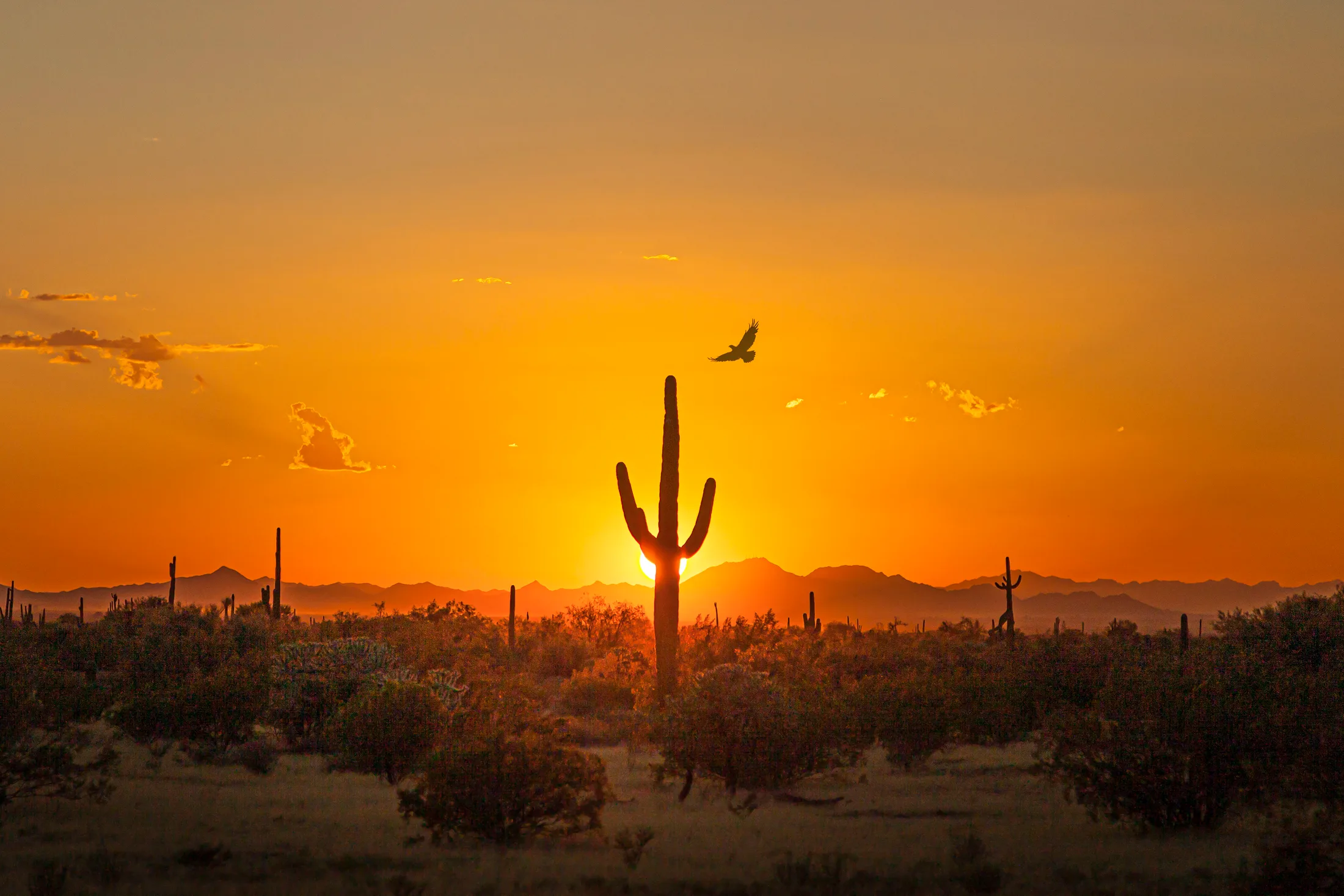 MSS (35) Florence AZ Florence AZ, sunset and sunrise, a fine art photograph by Michael Joseph Baca, Casa de Baca Studios, Florence, Arizona