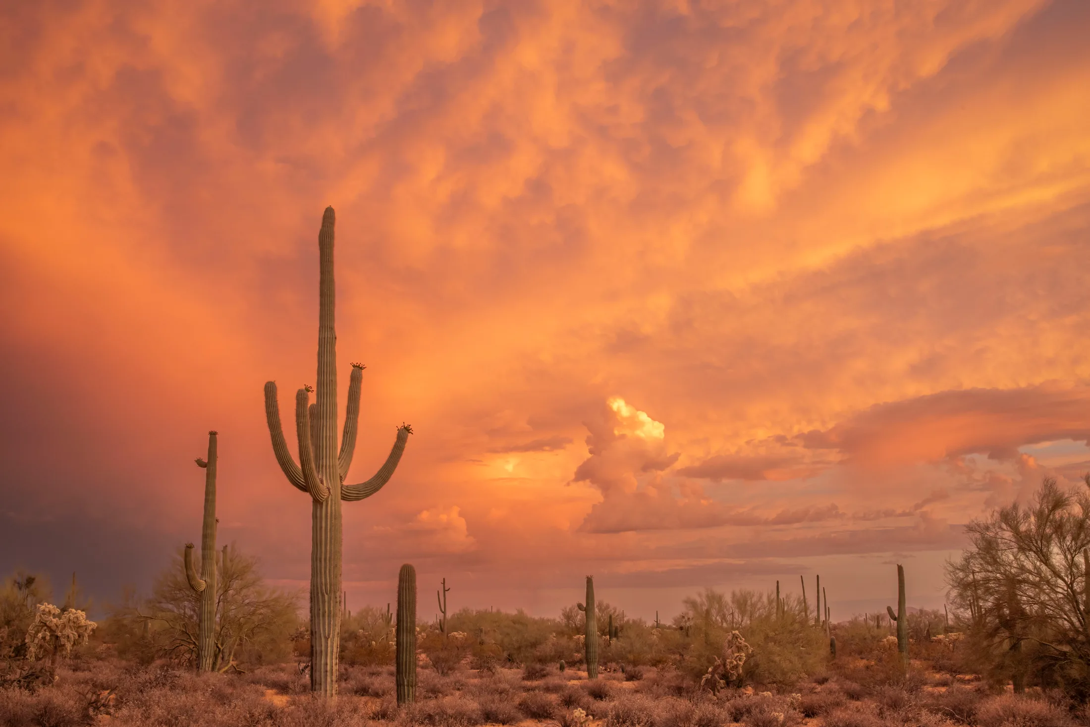 MSS (92) Florence AZ Florence AZ, sunset and sunrise, a fine art photograph by Michael Joseph Baca, Casa de Baca Studios, Florence, Arizona