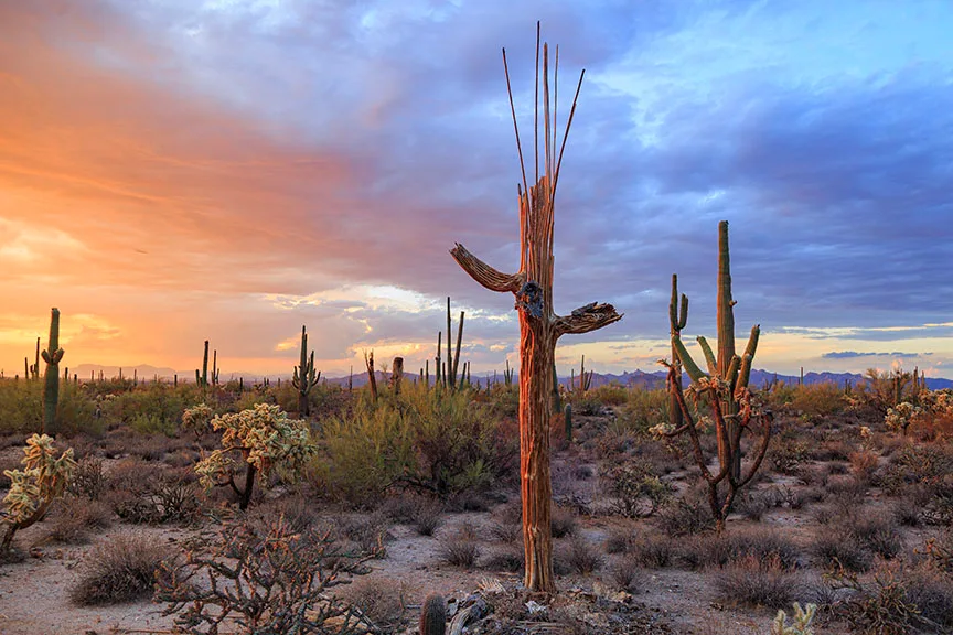 JS027 Florence Kelvin Hwy Florence Kelvin Hwy, sunset and sunrise, a fine art photograph by Janell Evelyn Baca, Casa de Baca Studios, Florence, Arizona