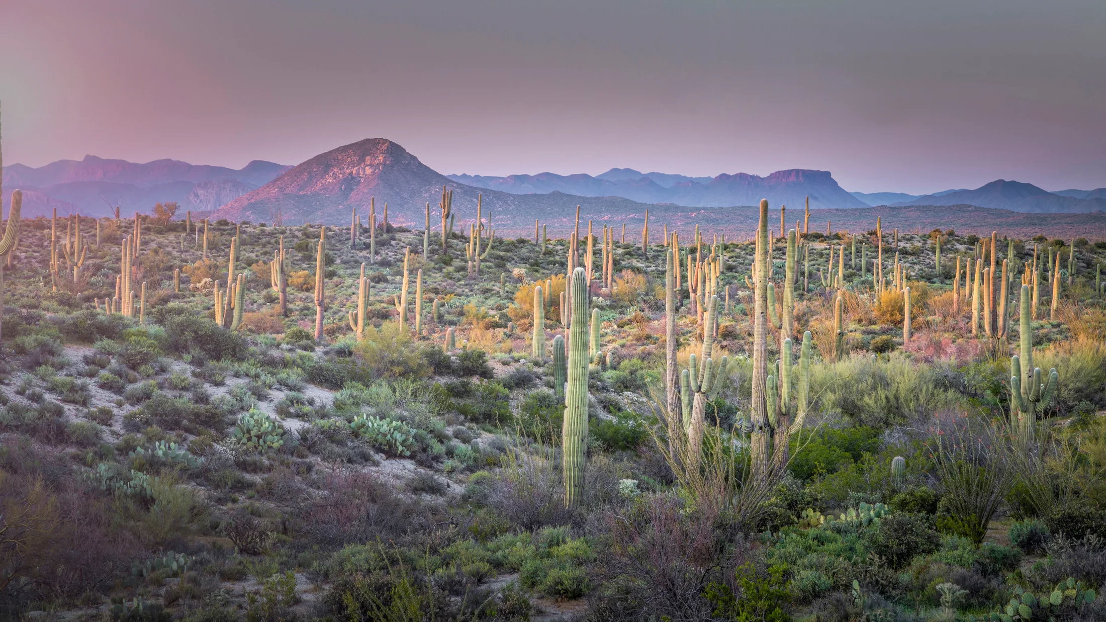 MLS (10) Grayback Mountain Florence AZ Grayback Mountain Florence AZ, landscape, a fine art photograph by Michael Joseph Baca