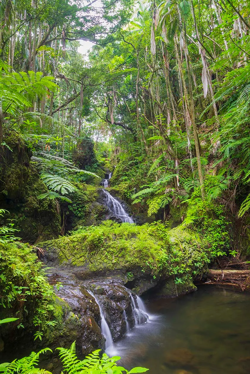 JW010 Hawaii Tropical Bioreserve and Garden waterfall Hawaii Tropical Bioreserve and Garden waterfall, ocean and lake and river and pier, a fine art photograph